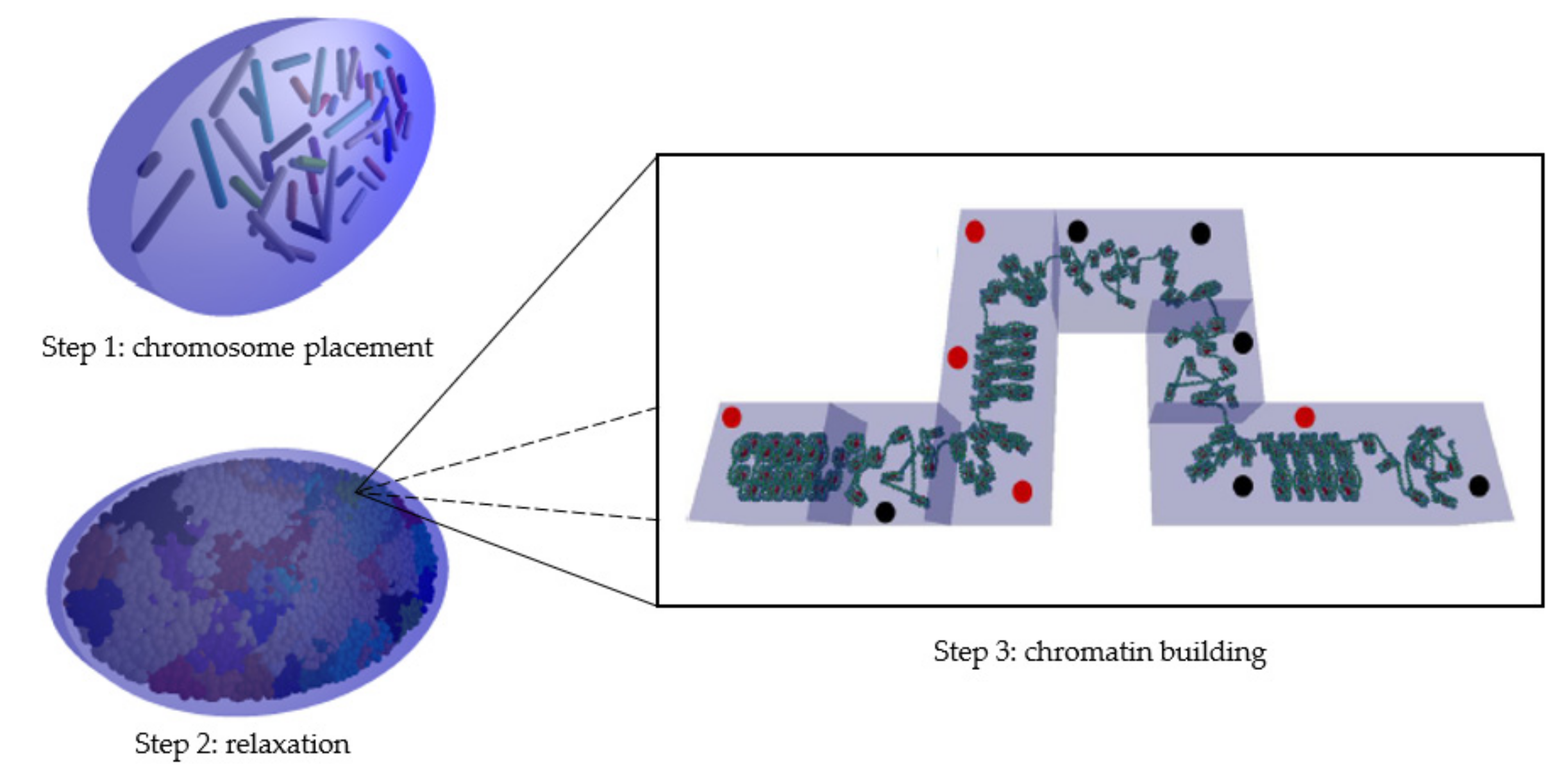 Ijms 23 03770 g007 Ijms 23 03770 g007