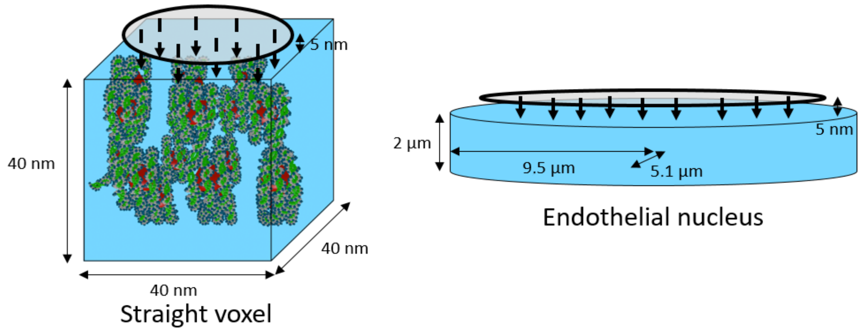 Ijms 23 03770 g008 Ijms 23 03770 g008