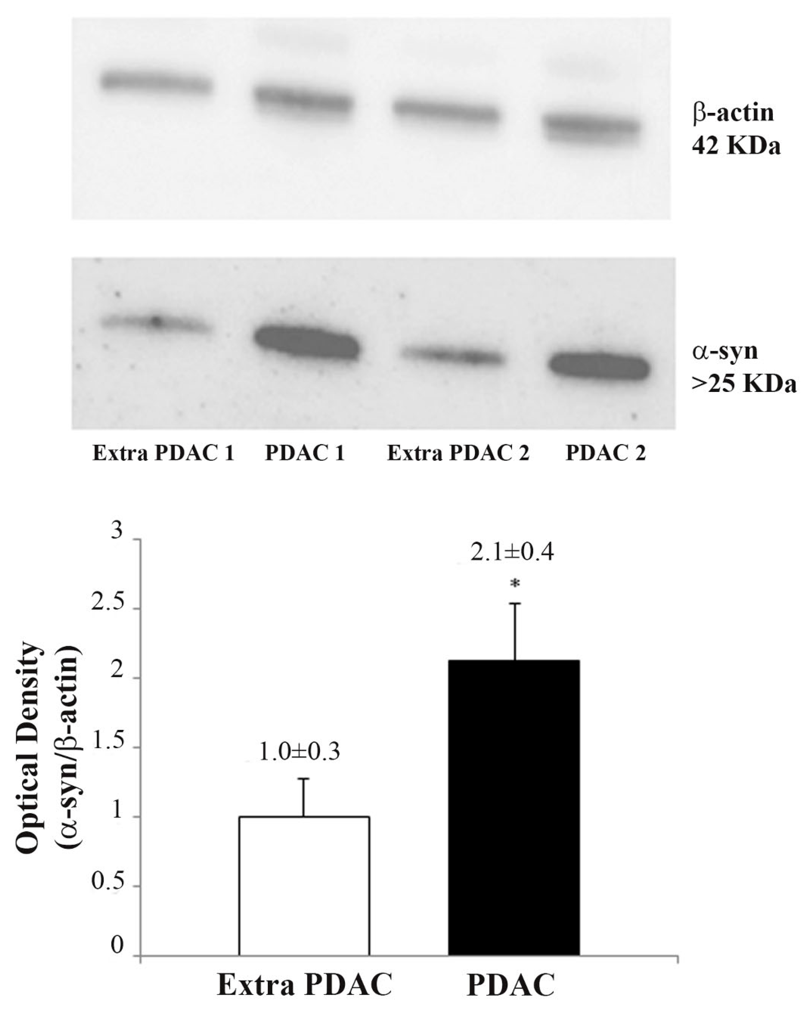 Ijms 23 03775 g006 550