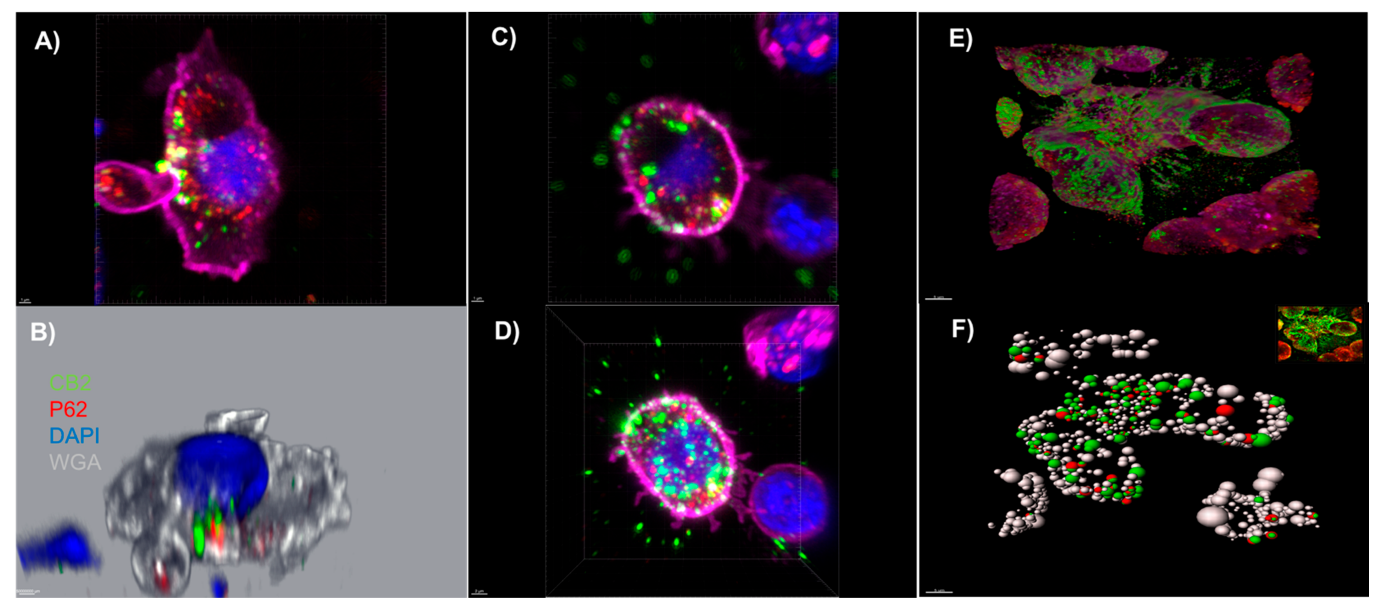 Ijms 23 03783 g002 550