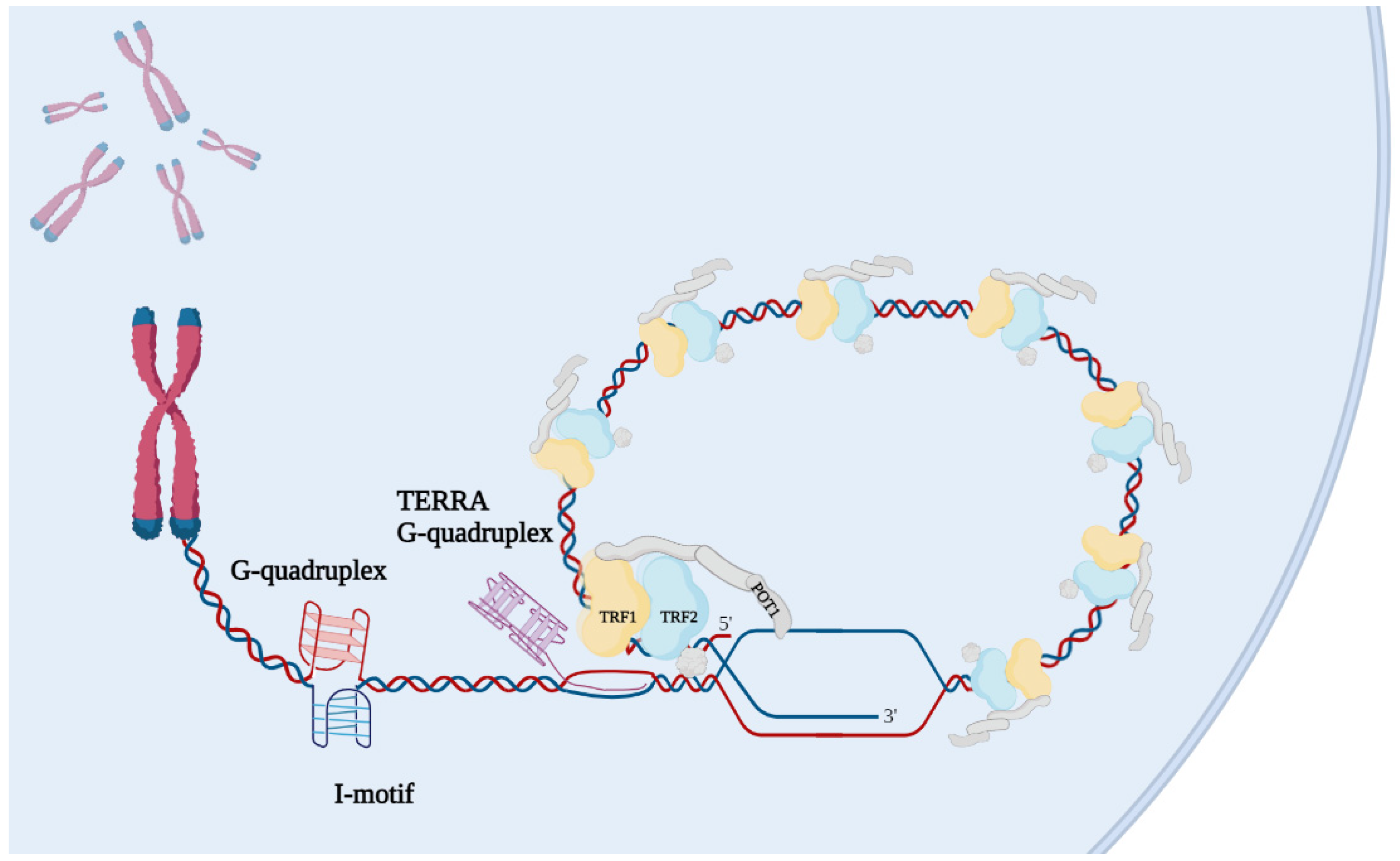 Ijms 23 03784 g004 Ijms 23 03784 g004