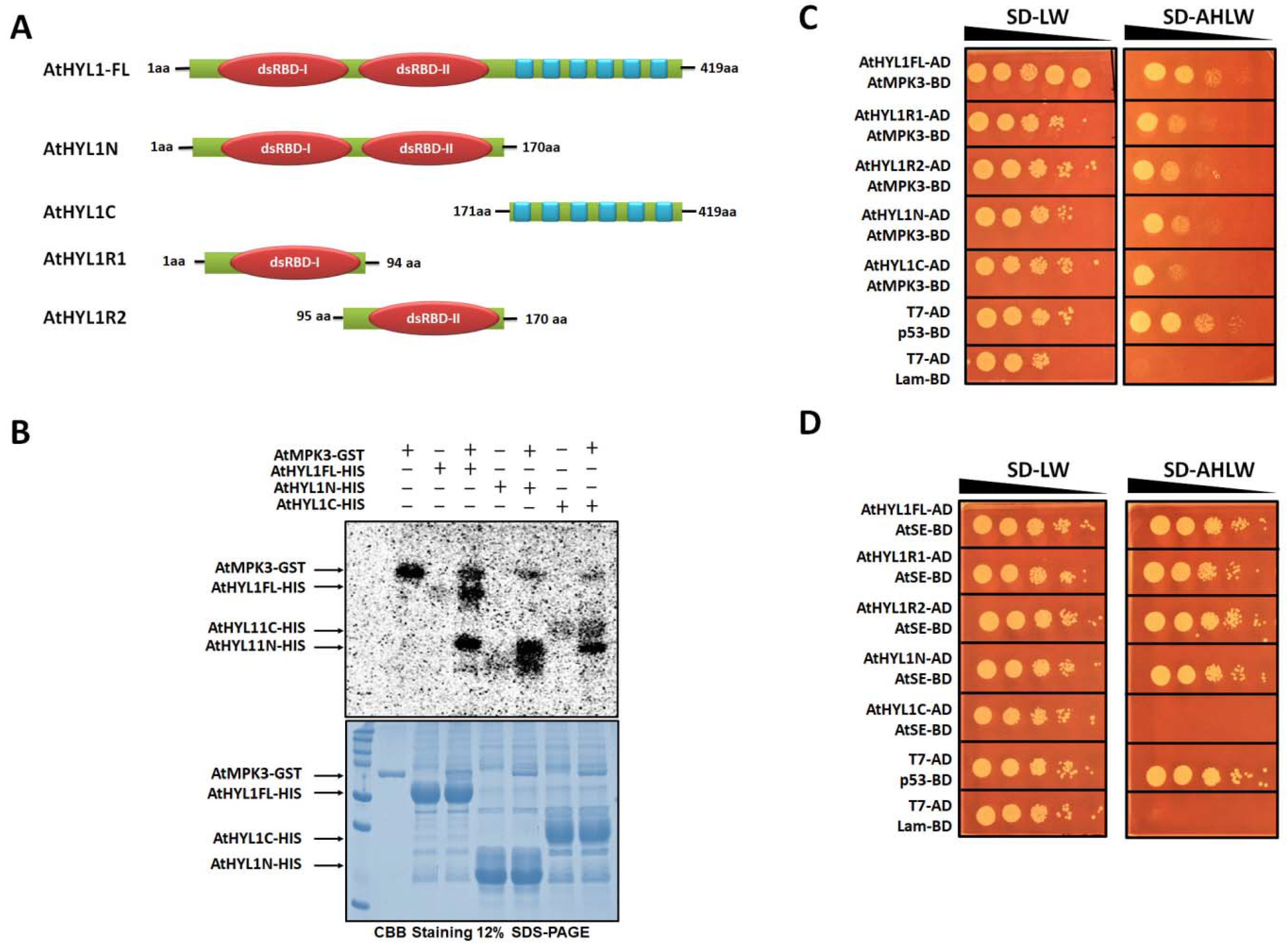 Ijms 23 03787 g001 550