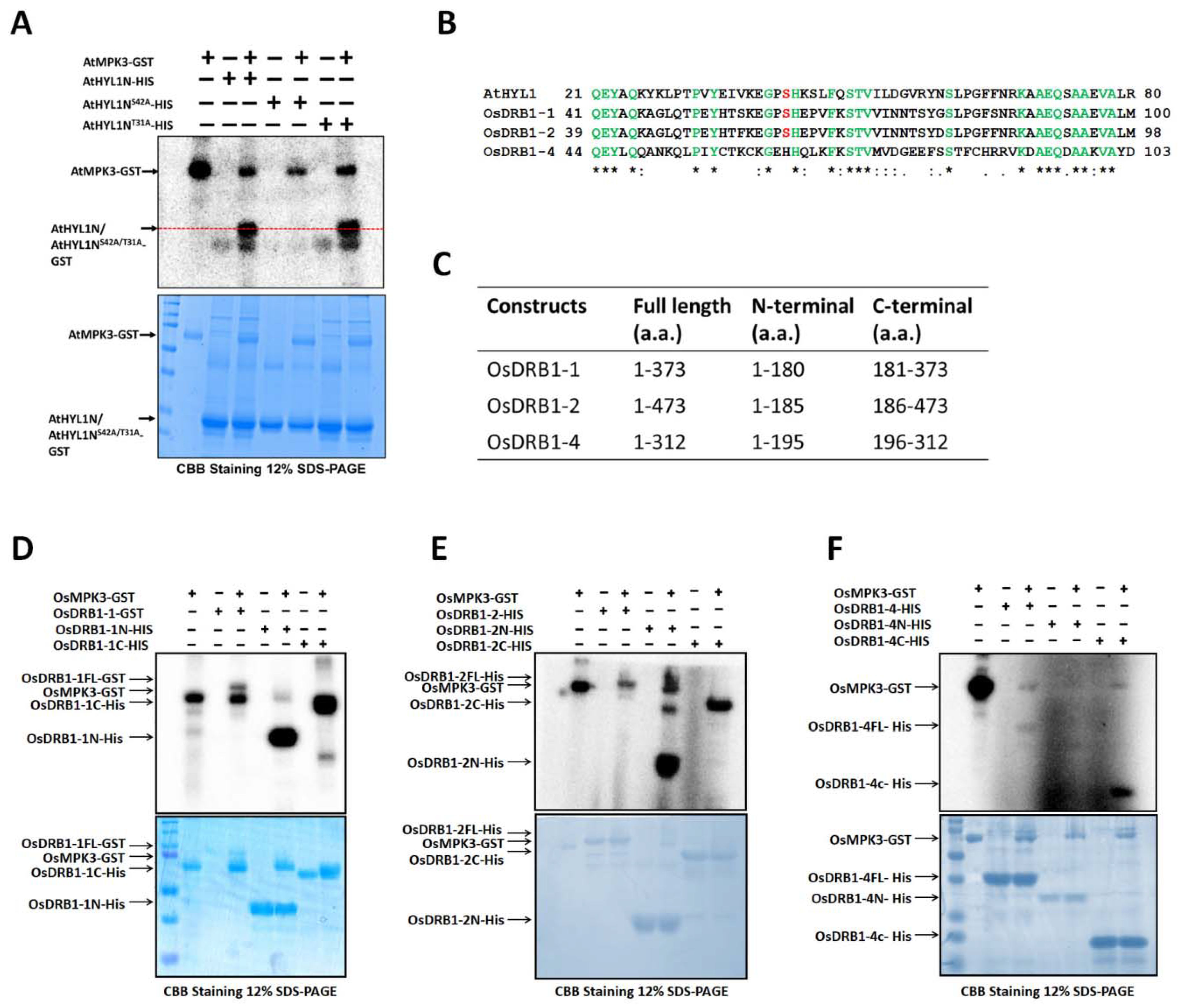 Ijms 23 03787 g002 550