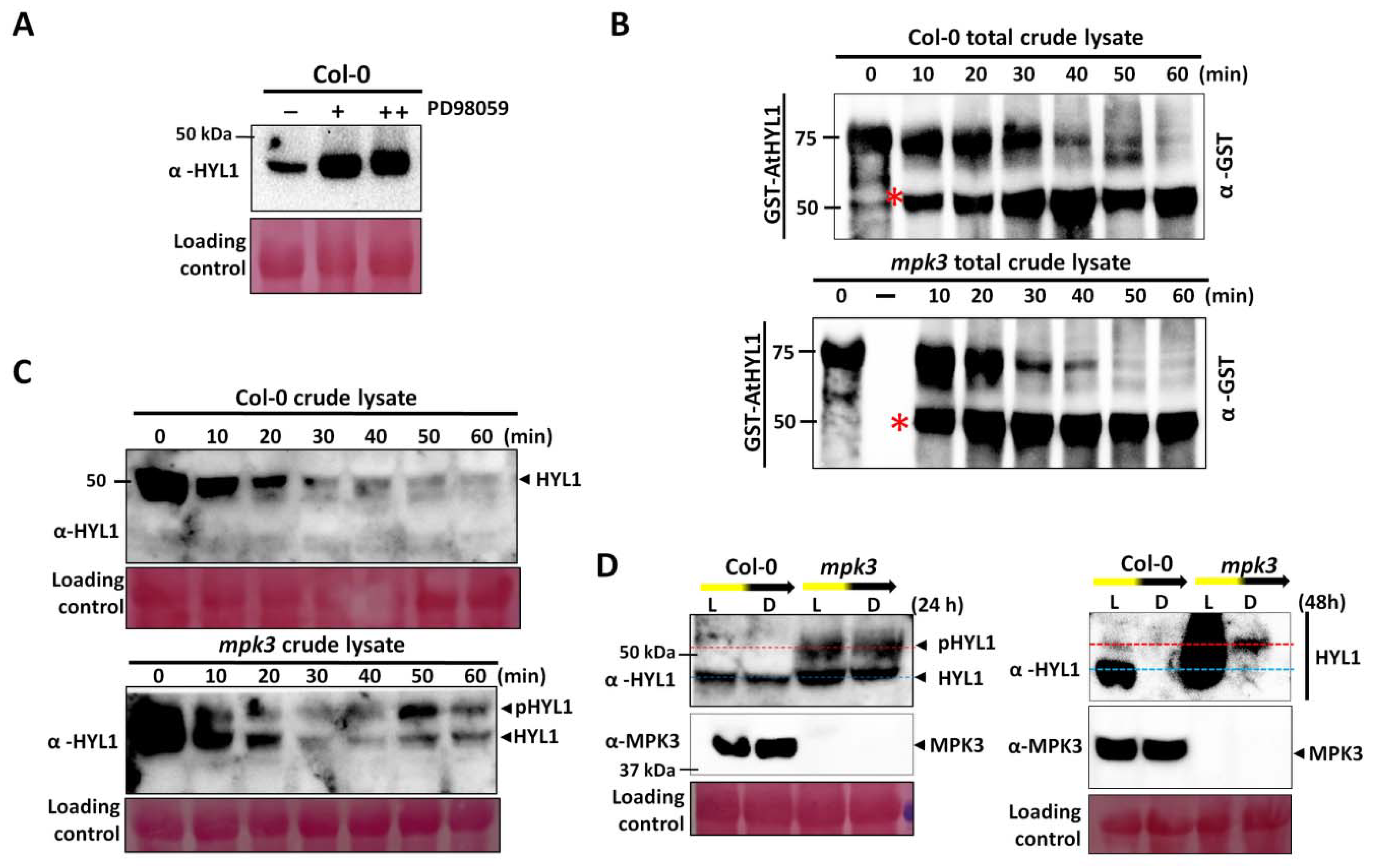Ijms 23 03787 g004 550