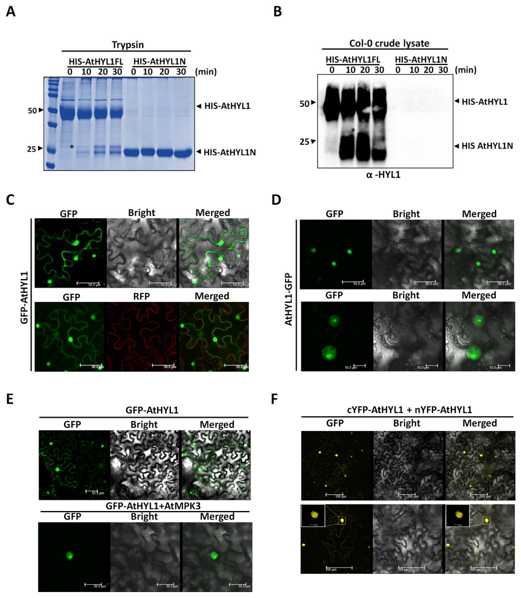 Ijms 23 03787 g005 550