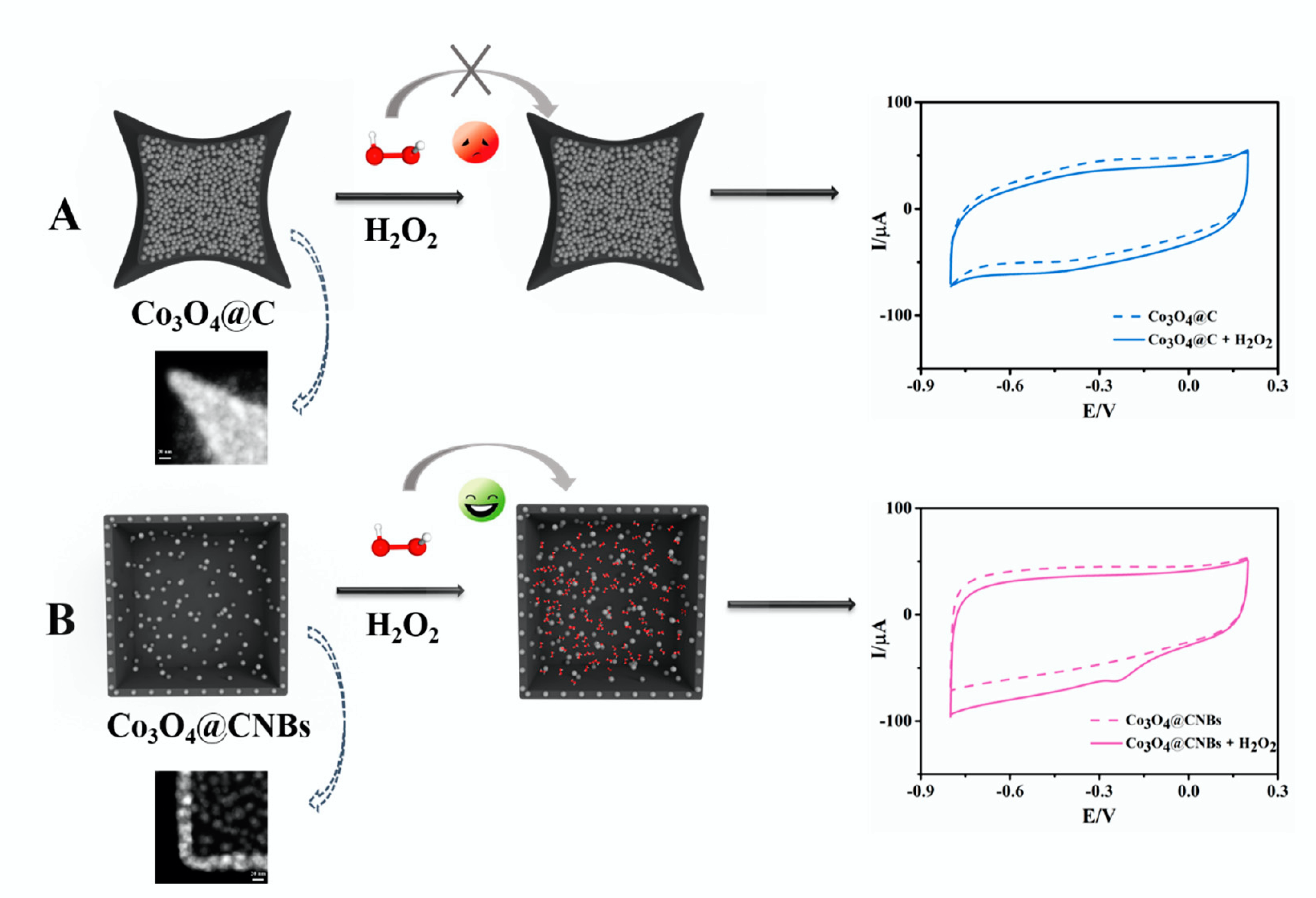 Ijms 23 03799 sch002