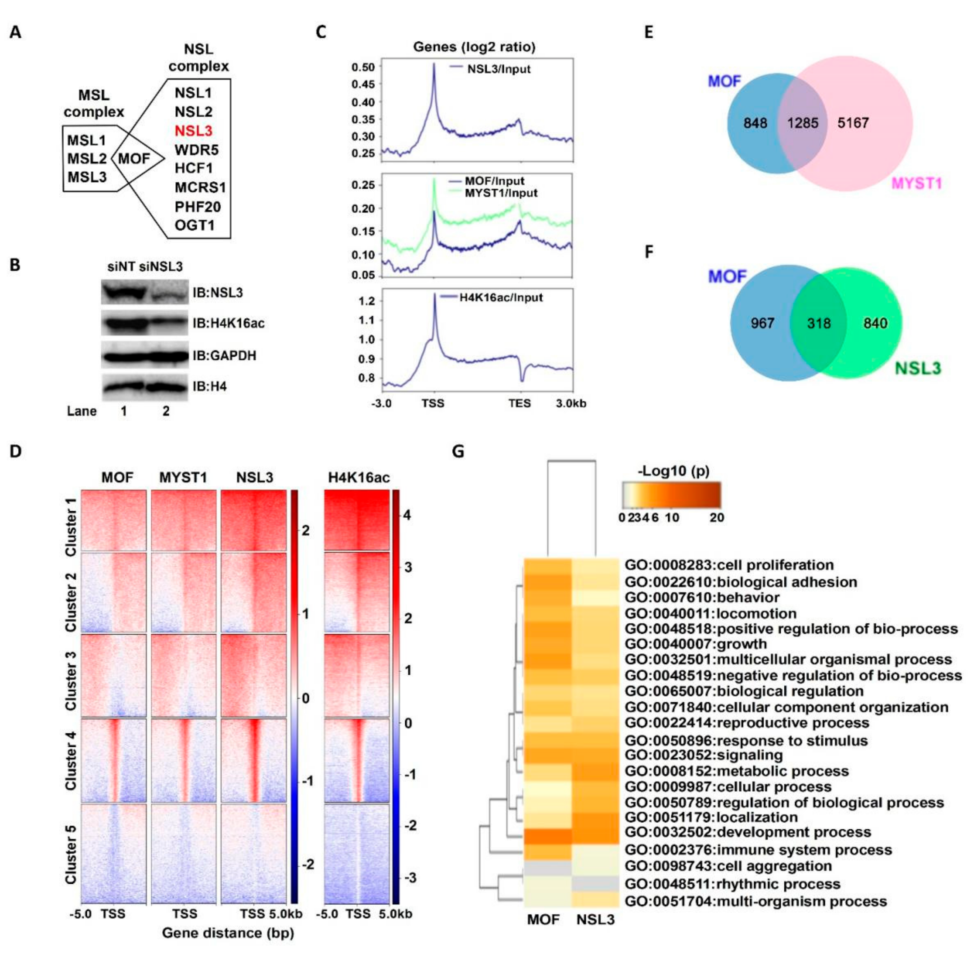Ijms 23 03801 g001 Ijms 23 03801 g001