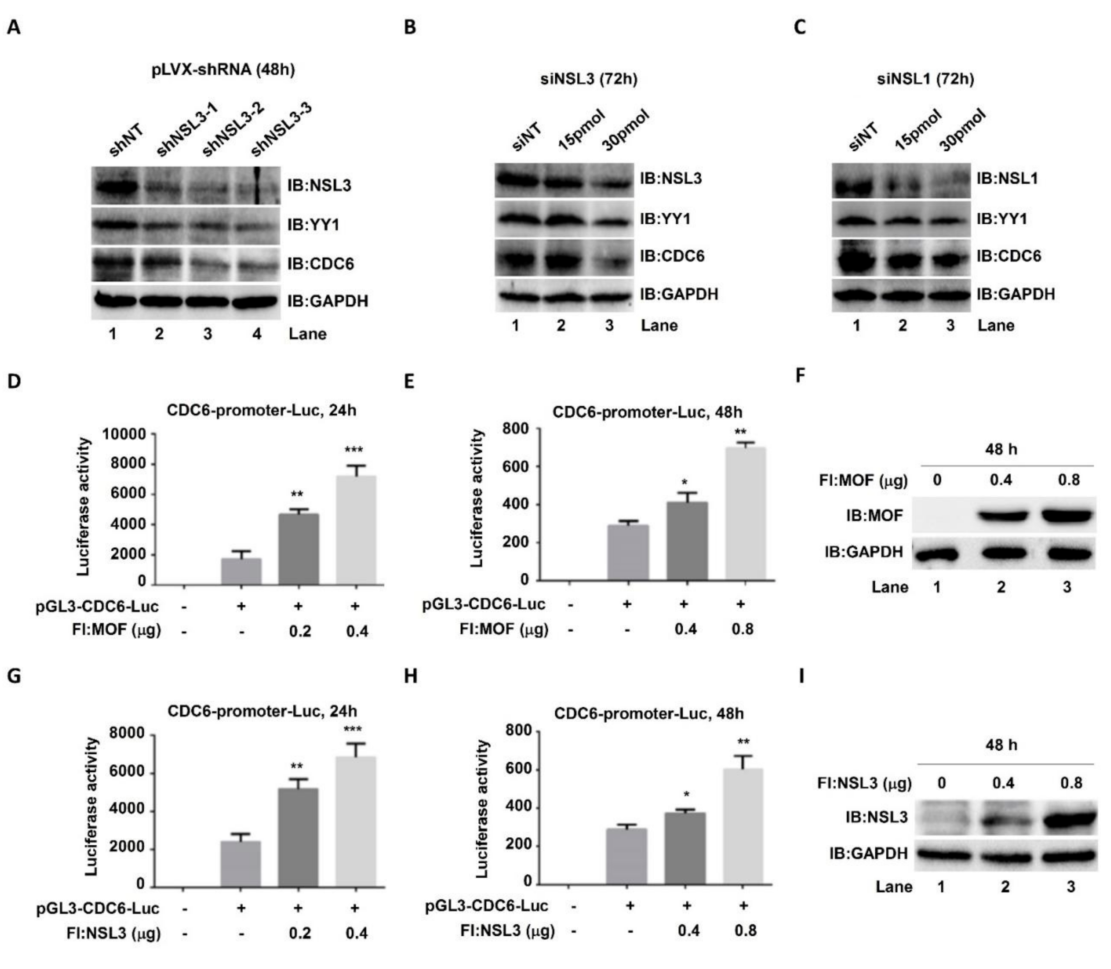 Ijms 23 03801 g004 Ijms 23 03801 g004