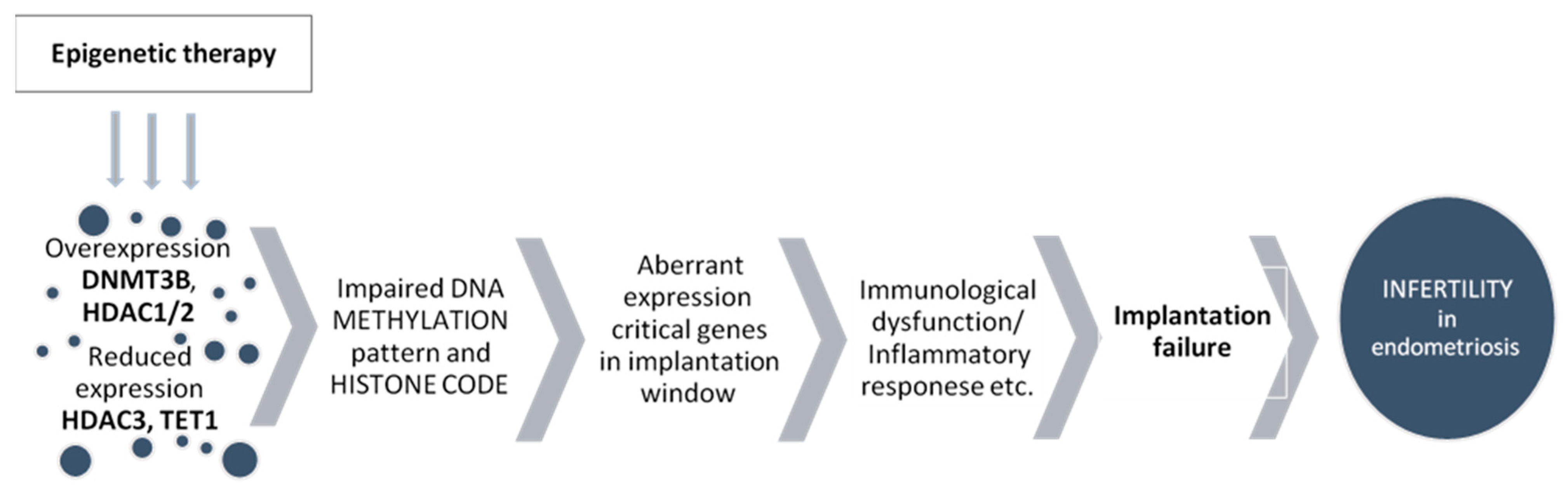 Ijms 23 03804 g001 Ijms 23 03804 g001