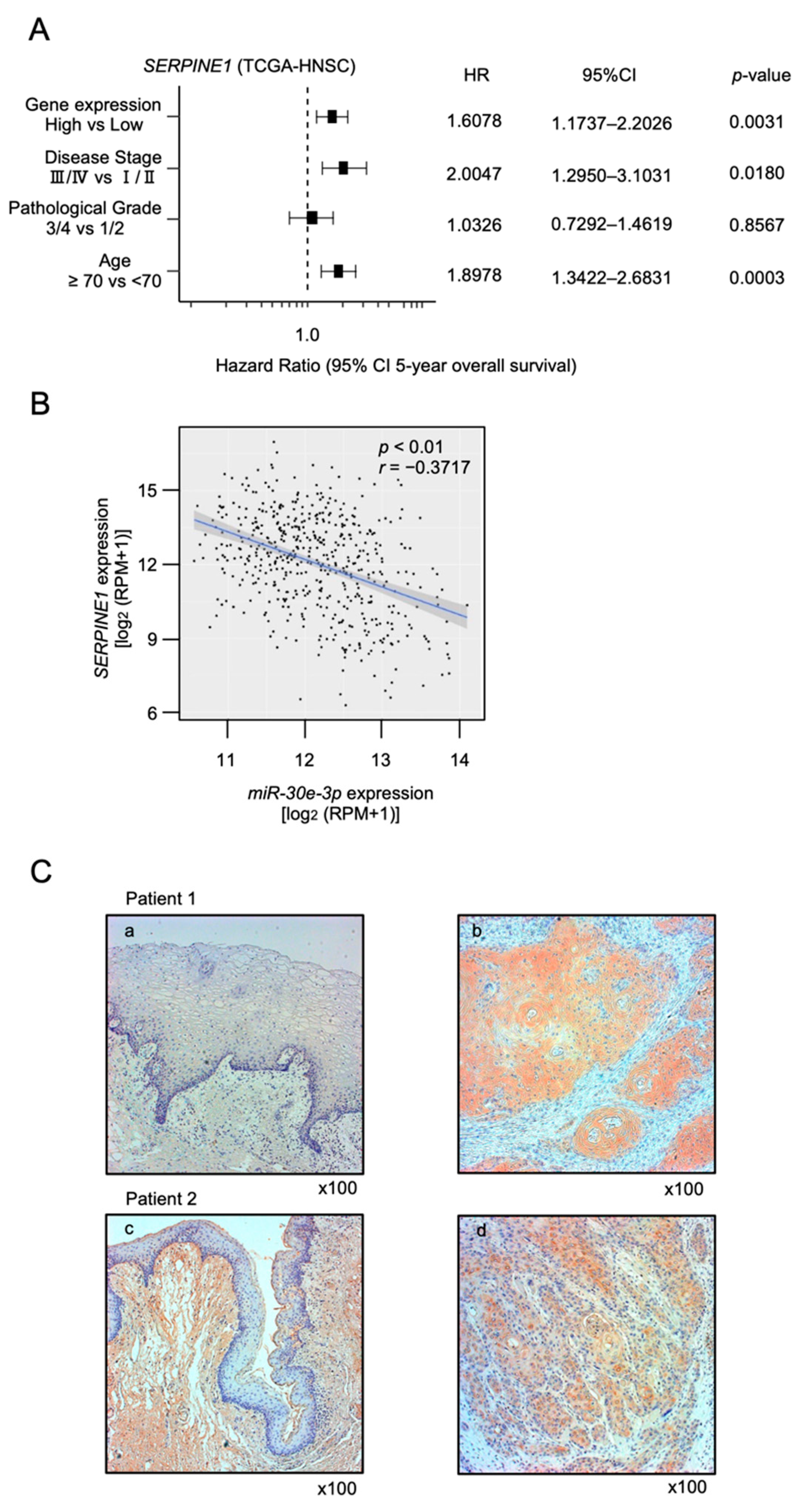 Ijms 23 03808 g005 550