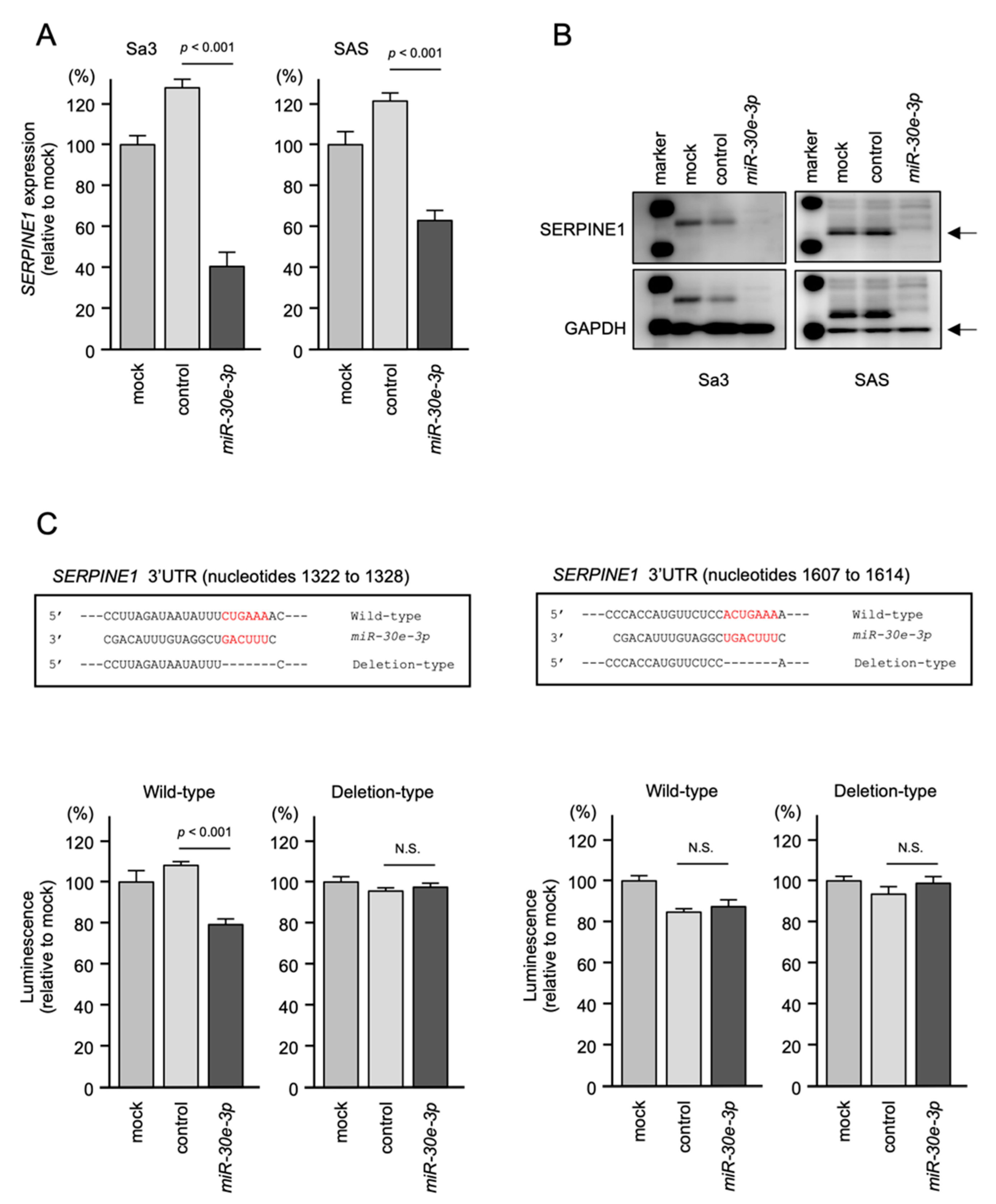 Ijms 23 03808 g006 550