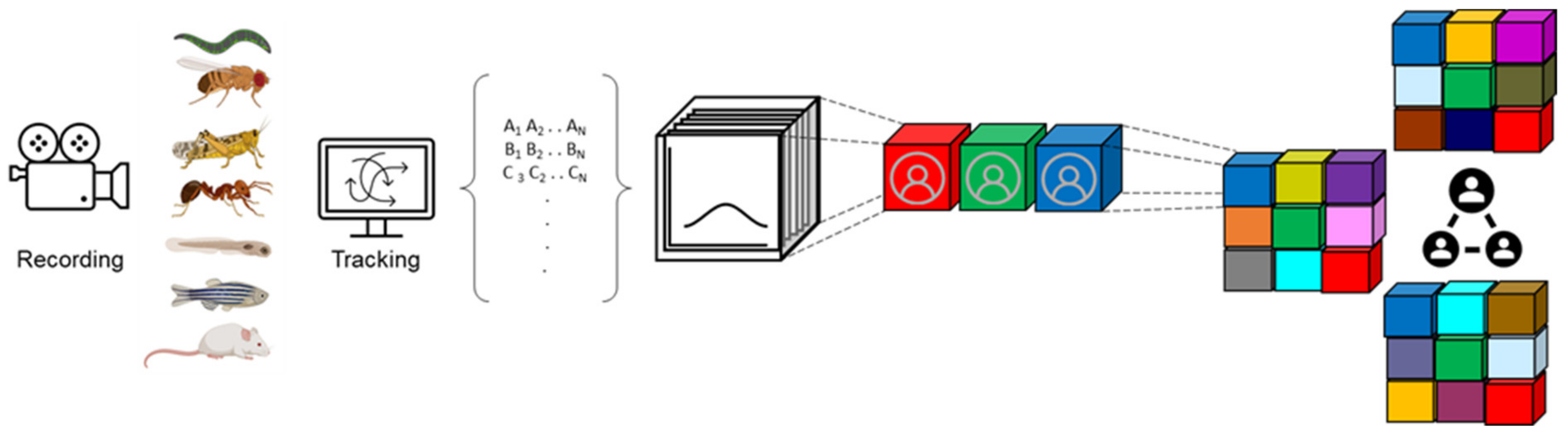 Ijms 23 03811 g001 Ijms 23 03811 g001