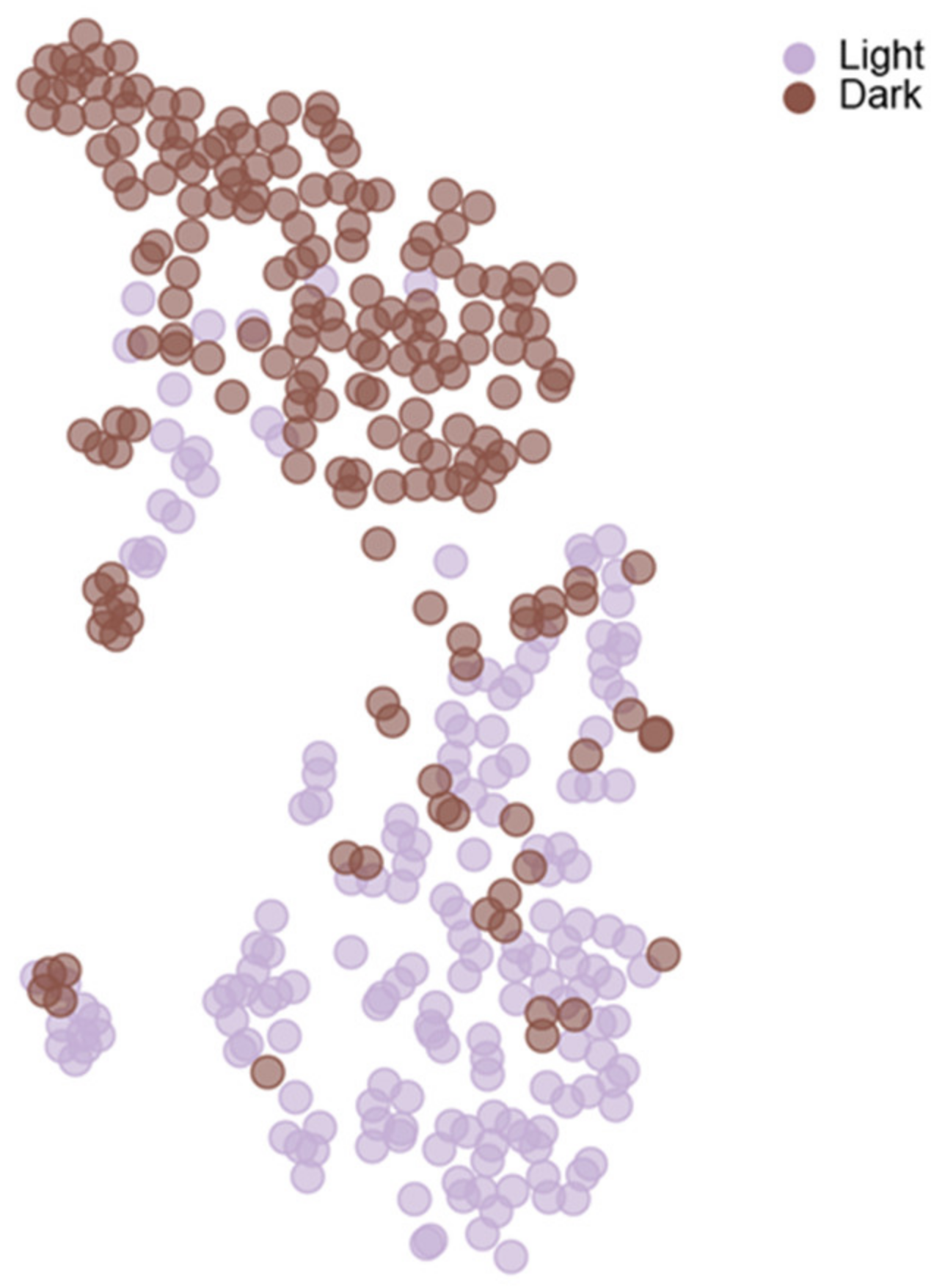 Ijms 23 03811 g003 Ijms 23 03811 g003