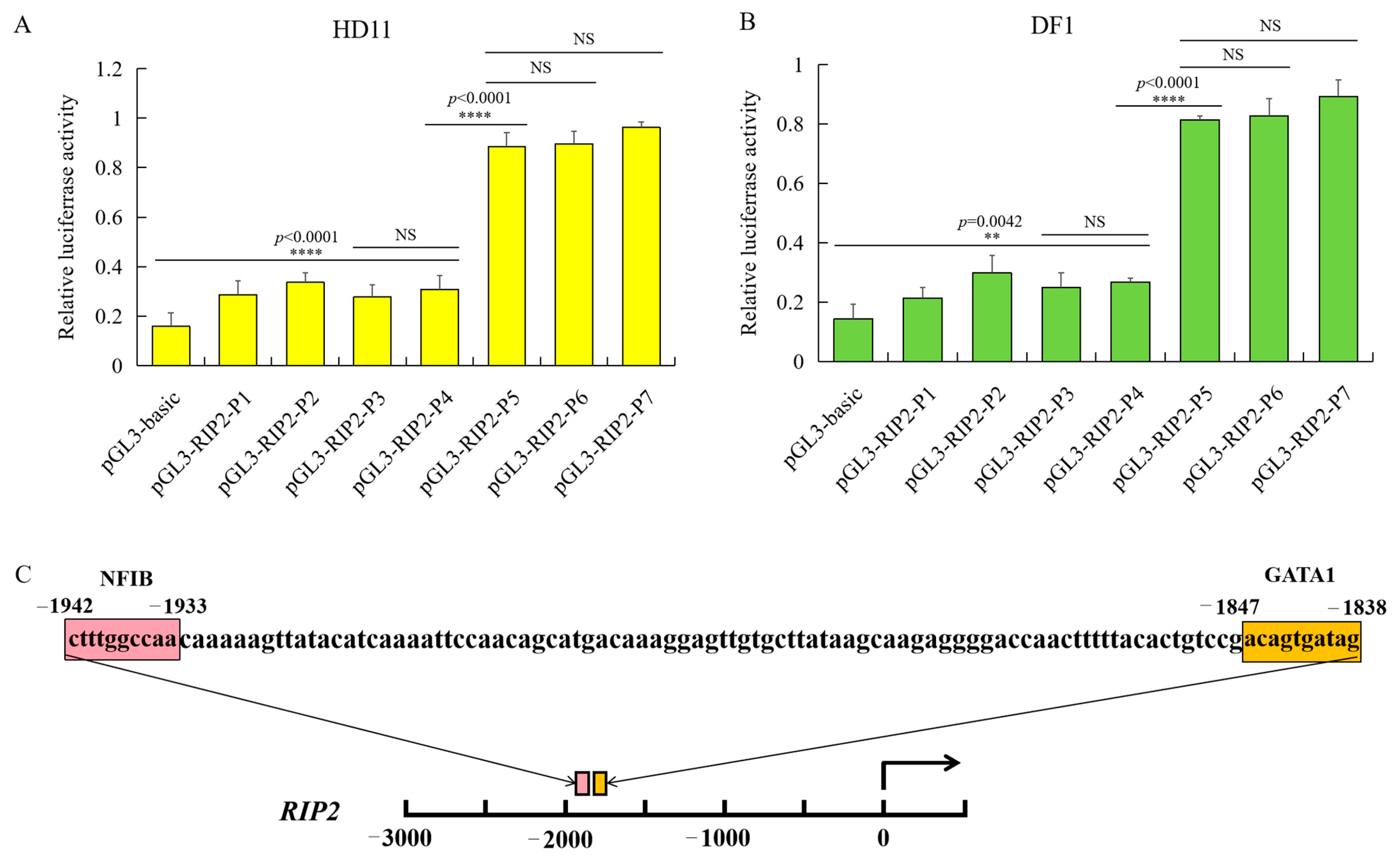 Ijms 23 03814 g004 Ijms 23 03814 g004