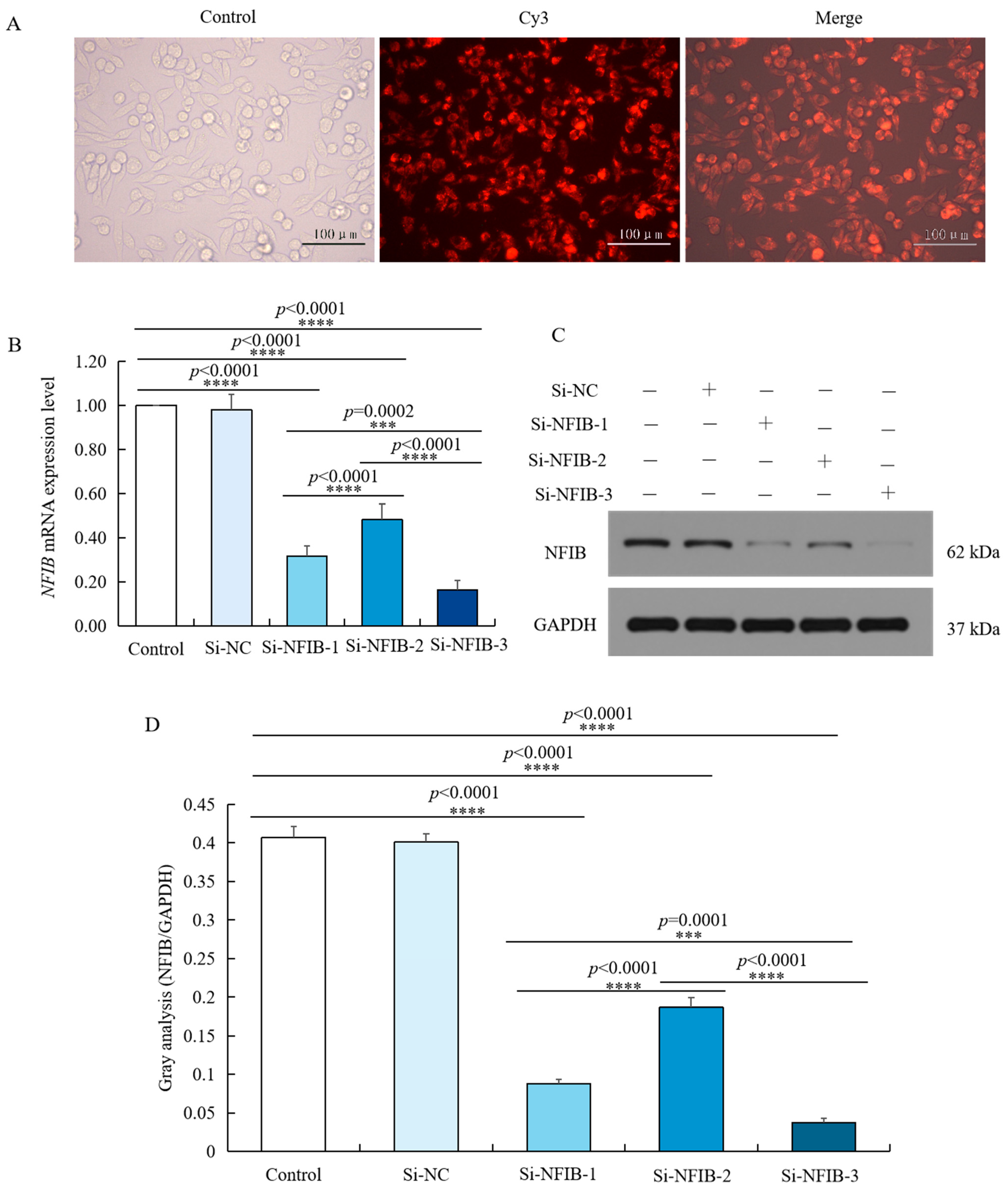 Ijms 23 03814 g006 Ijms 23 03814 g006