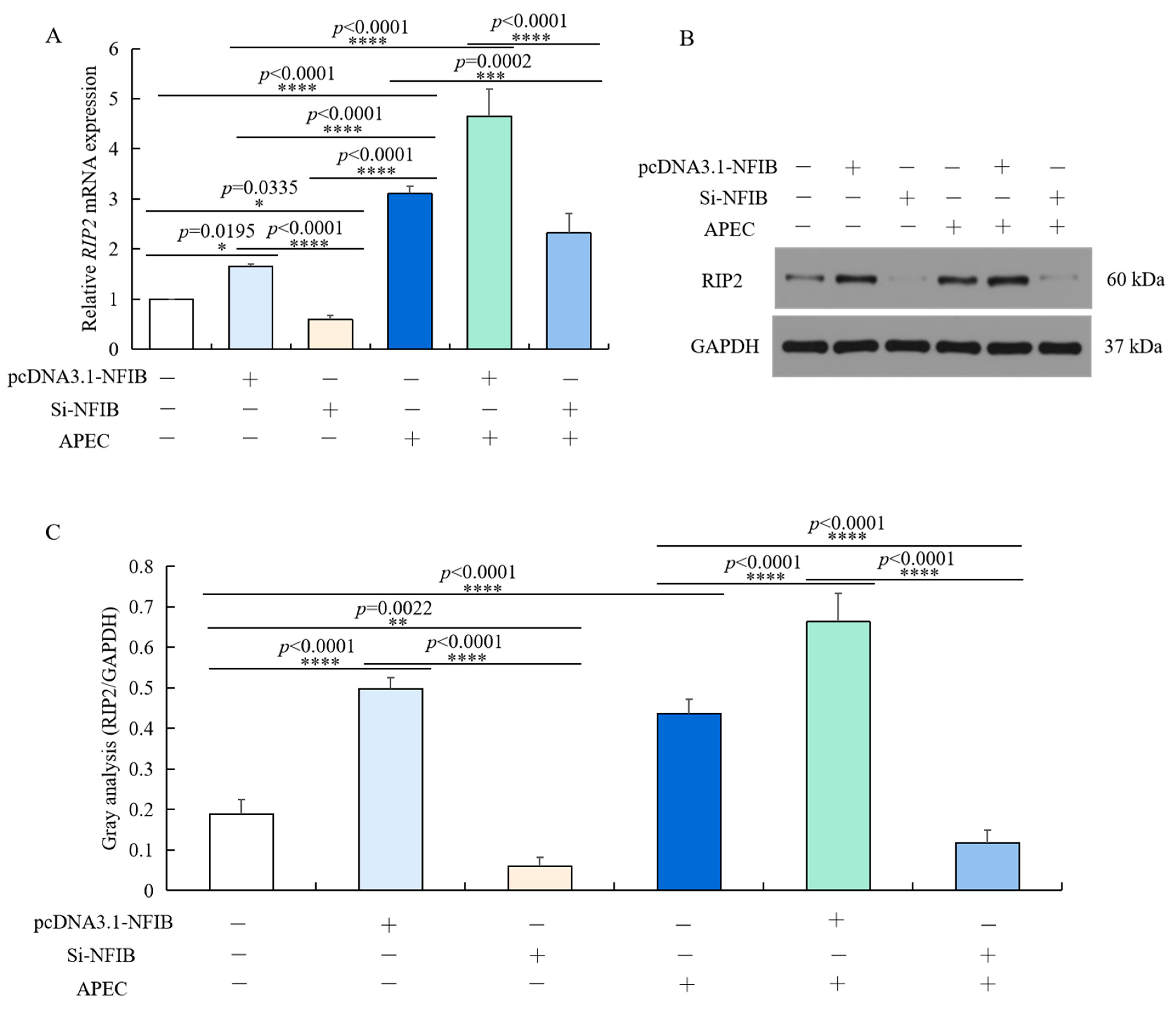Ijms 23 03814 g007 Ijms 23 03814 g007