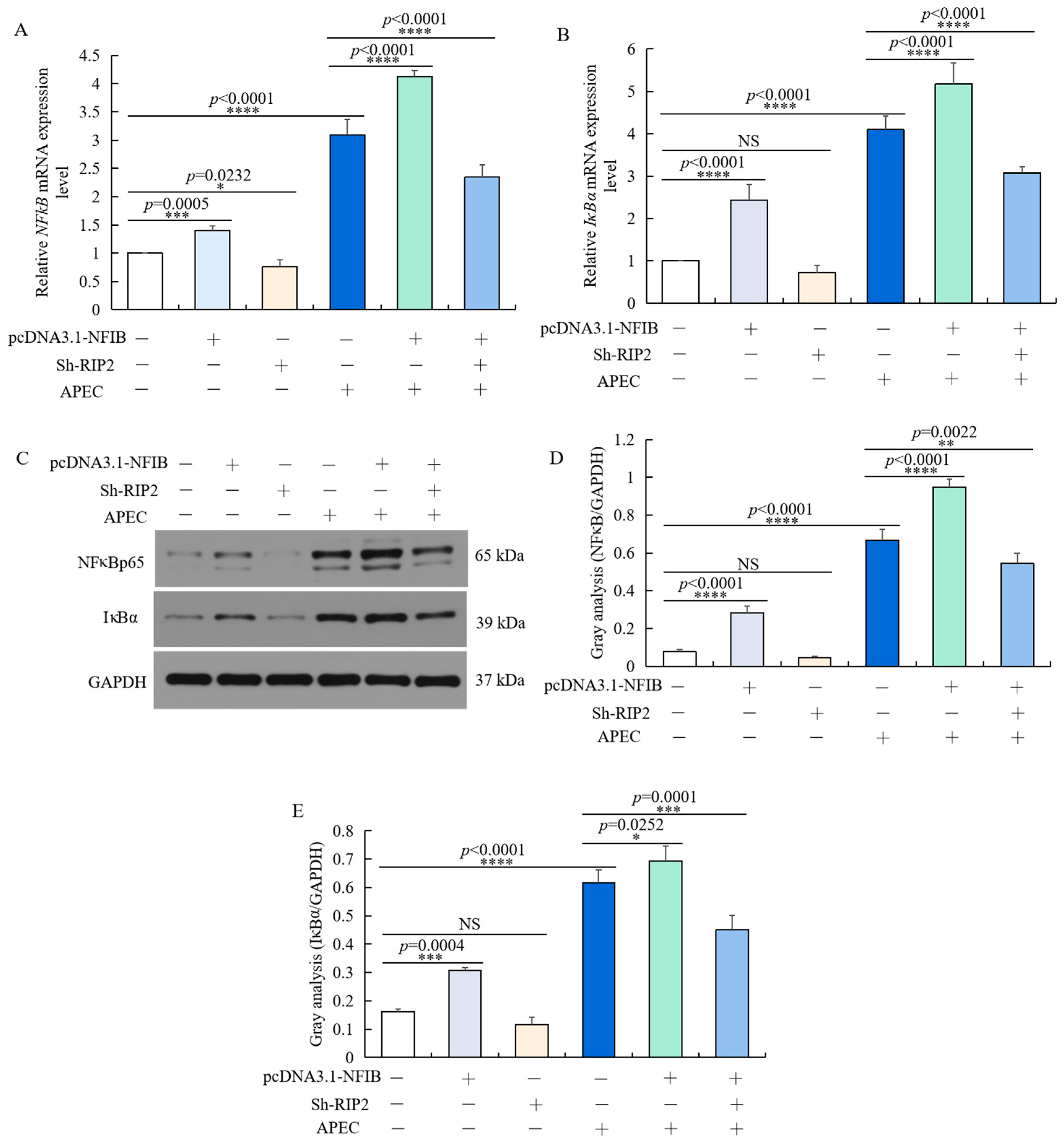 Ijms 23 03814 g009 Ijms 23 03814 g009