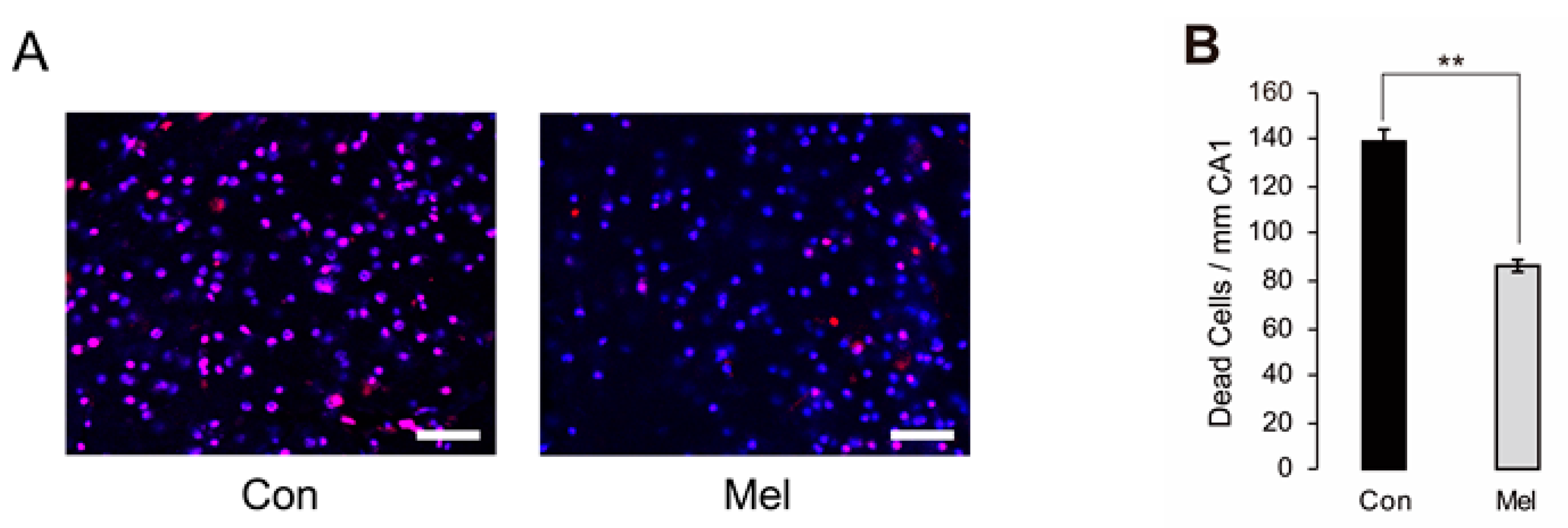 Ijms 23 03822 g003 550