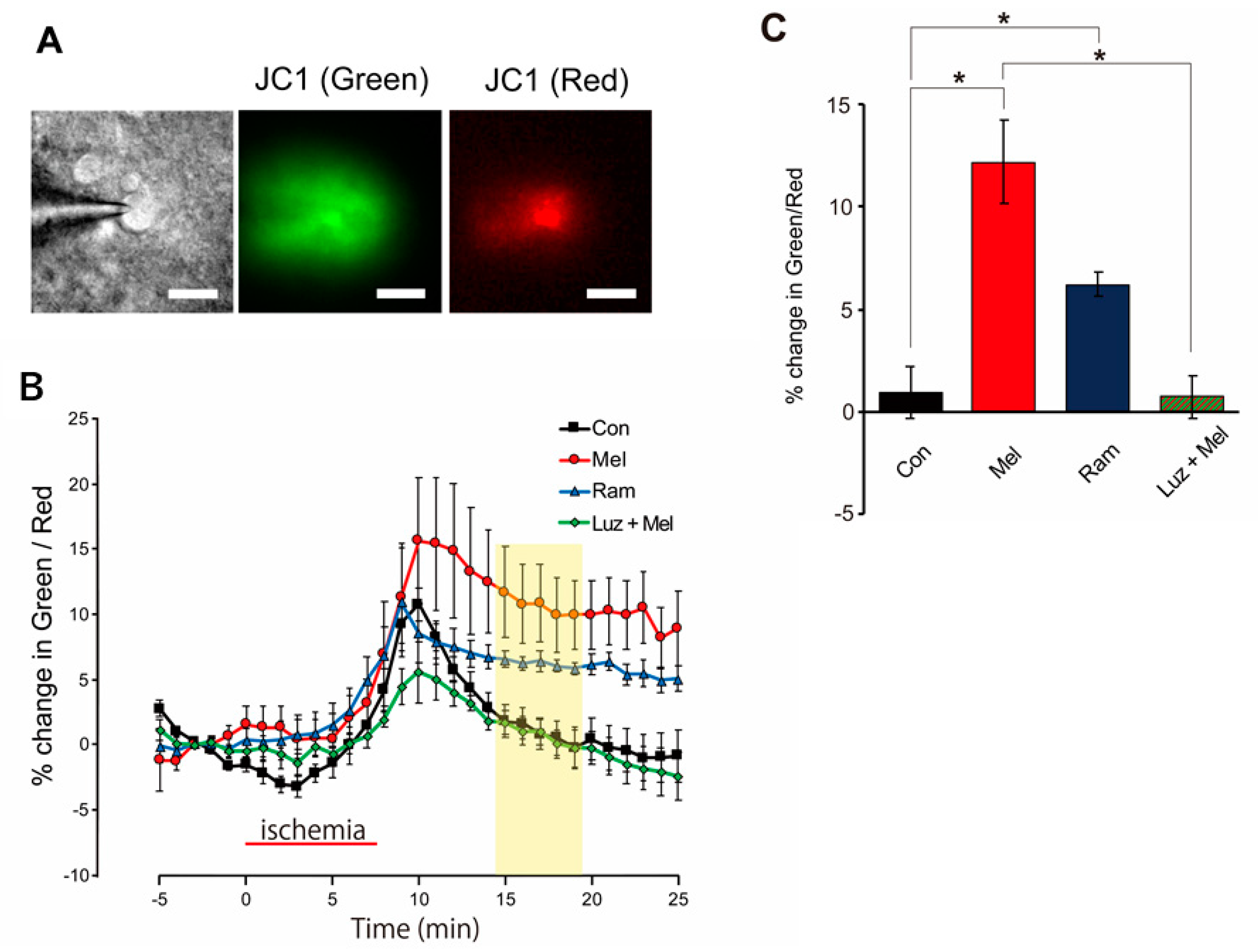 Ijms 23 03822 g006 550