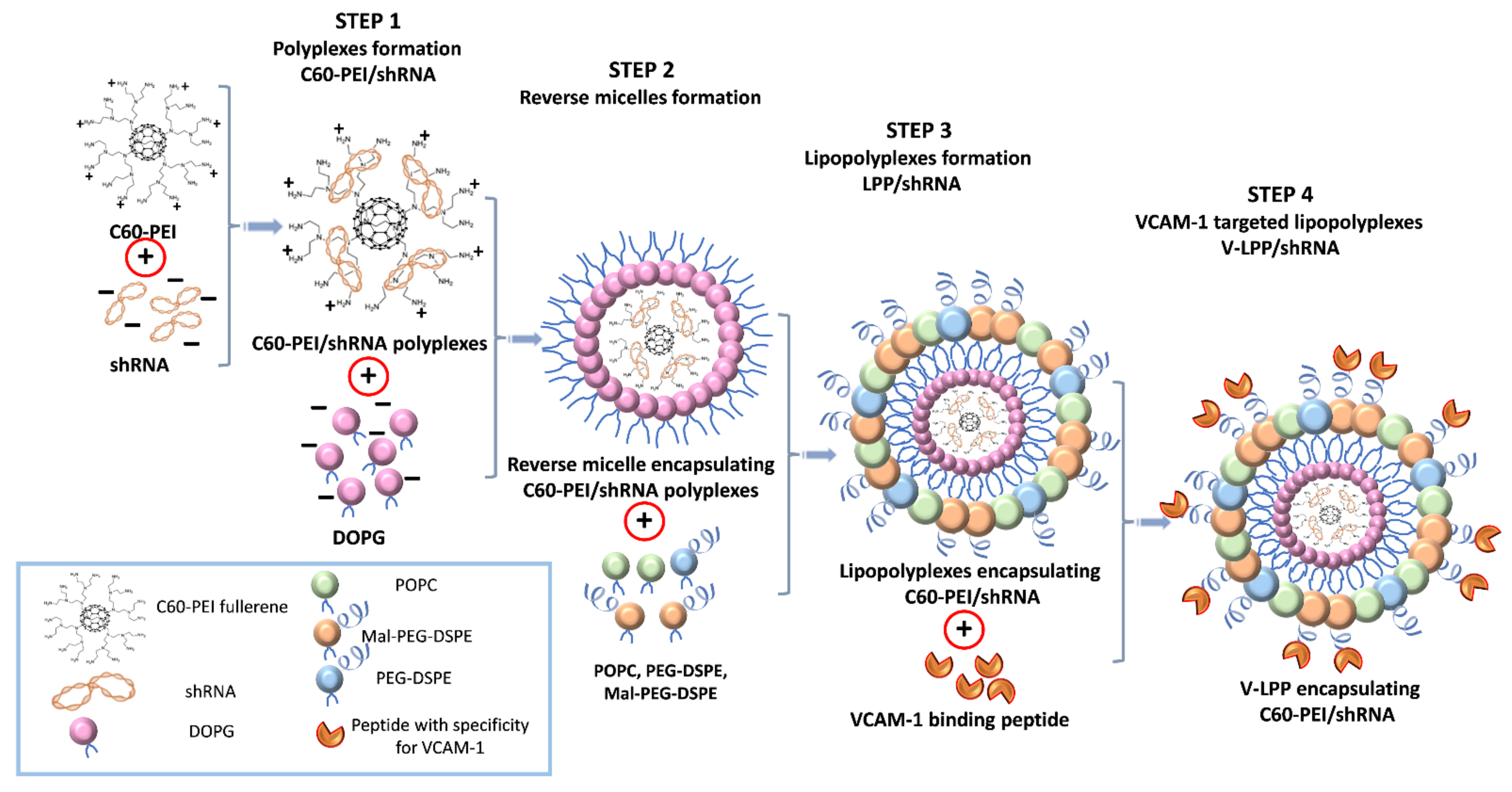 Ijms 23 03824 g001 550