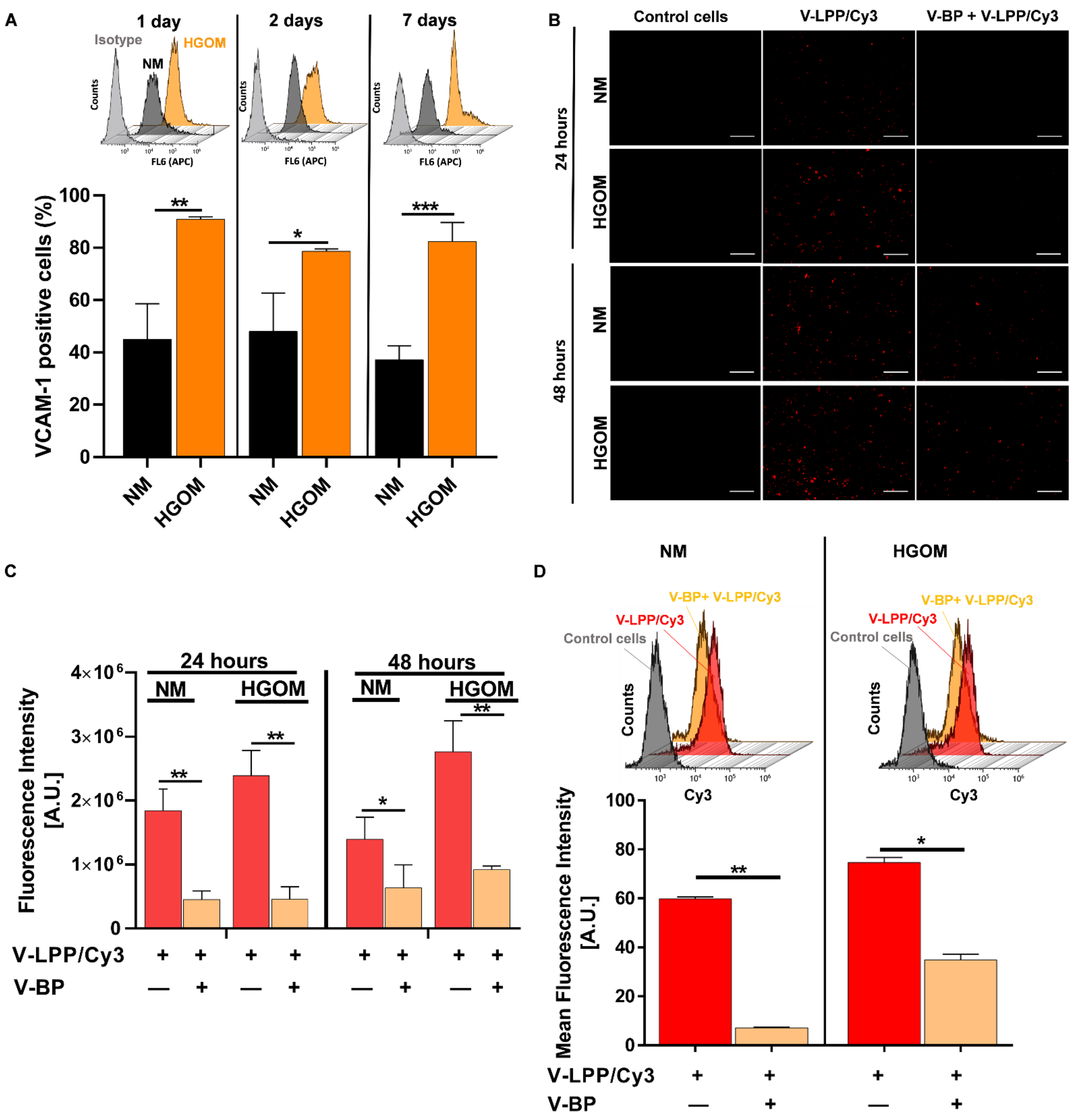 Ijms 23 03824 g004 550
