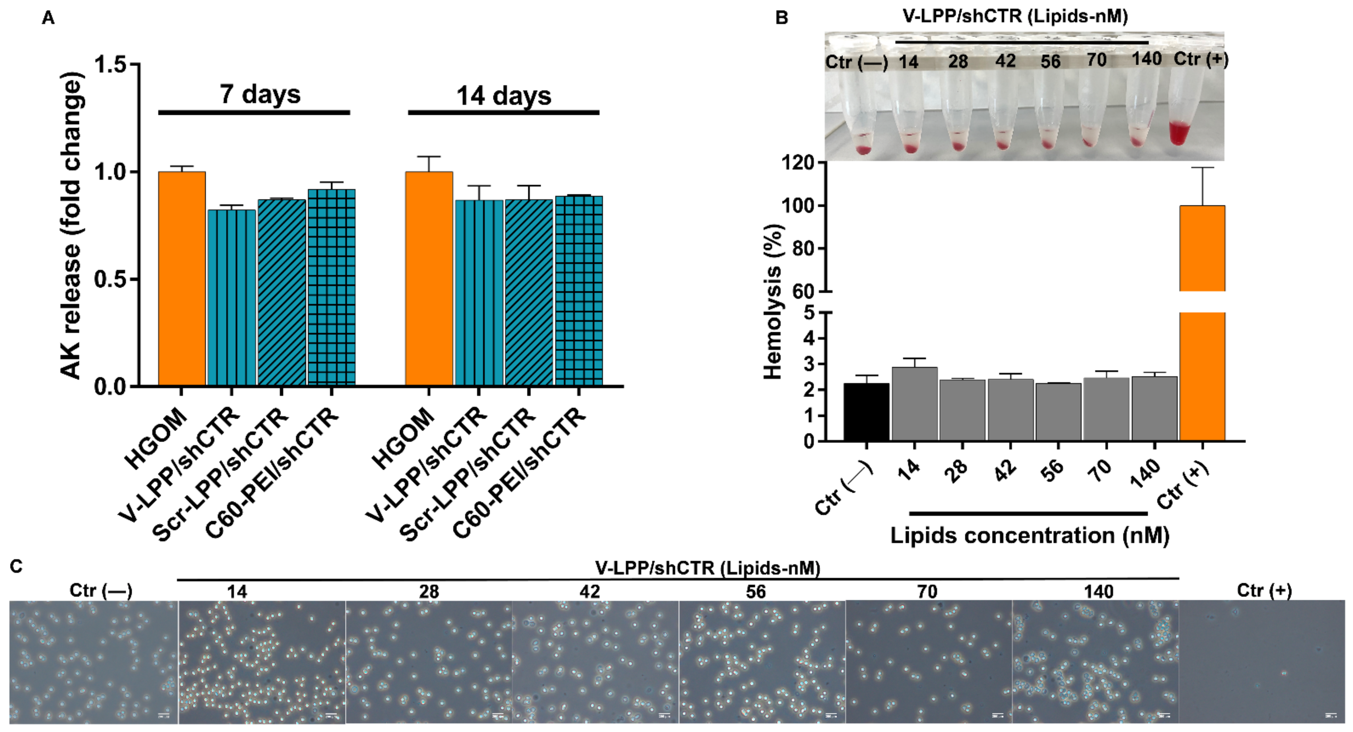Ijms 23 03824 g007 550