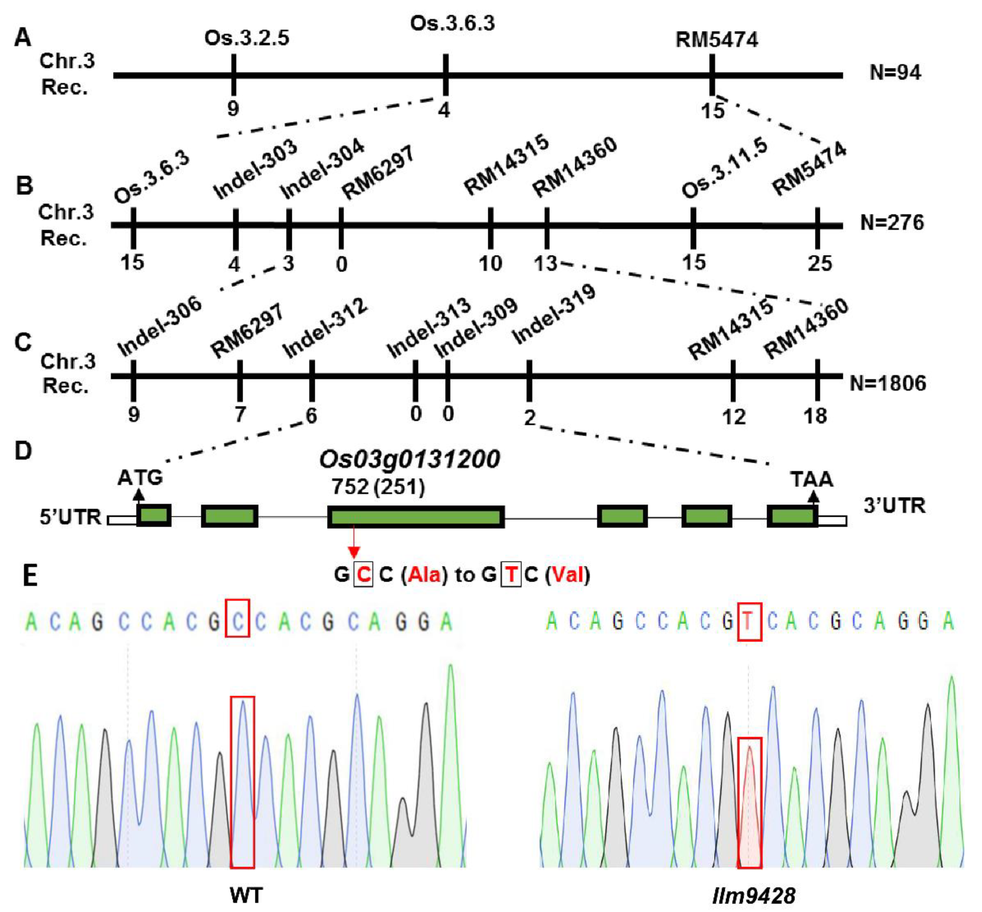Ijms 23 03827 g006 550