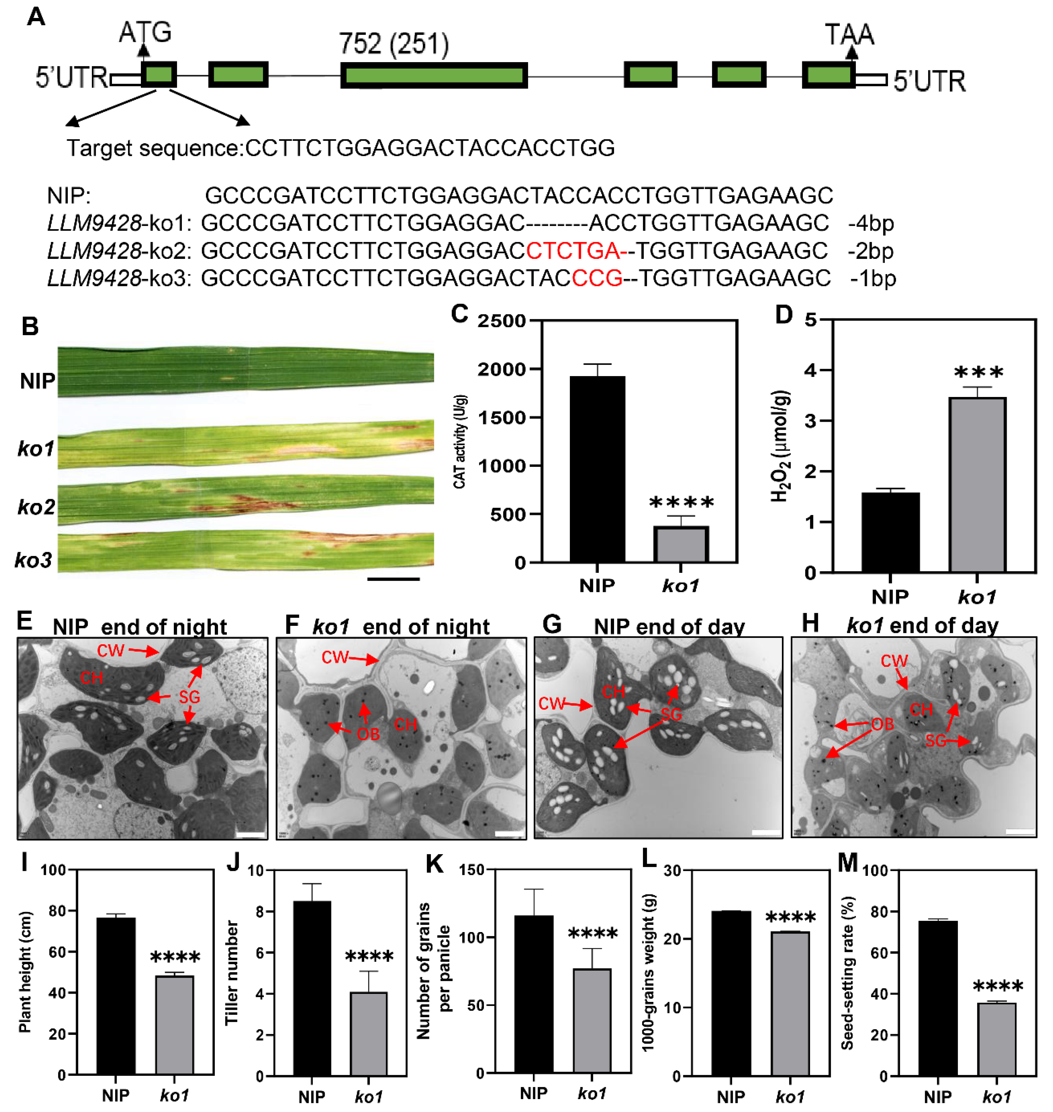 Ijms 23 03827 g007 550