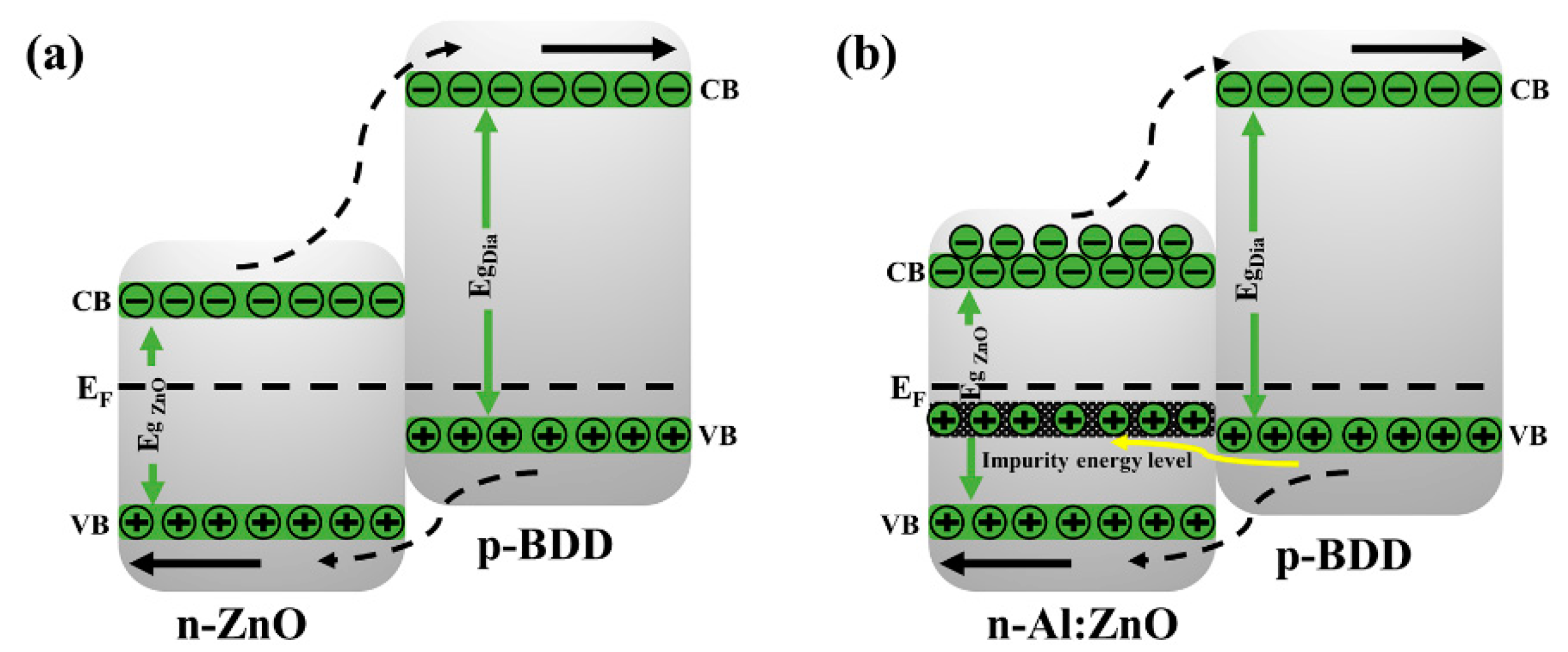Ijms 23 03831 g007 550