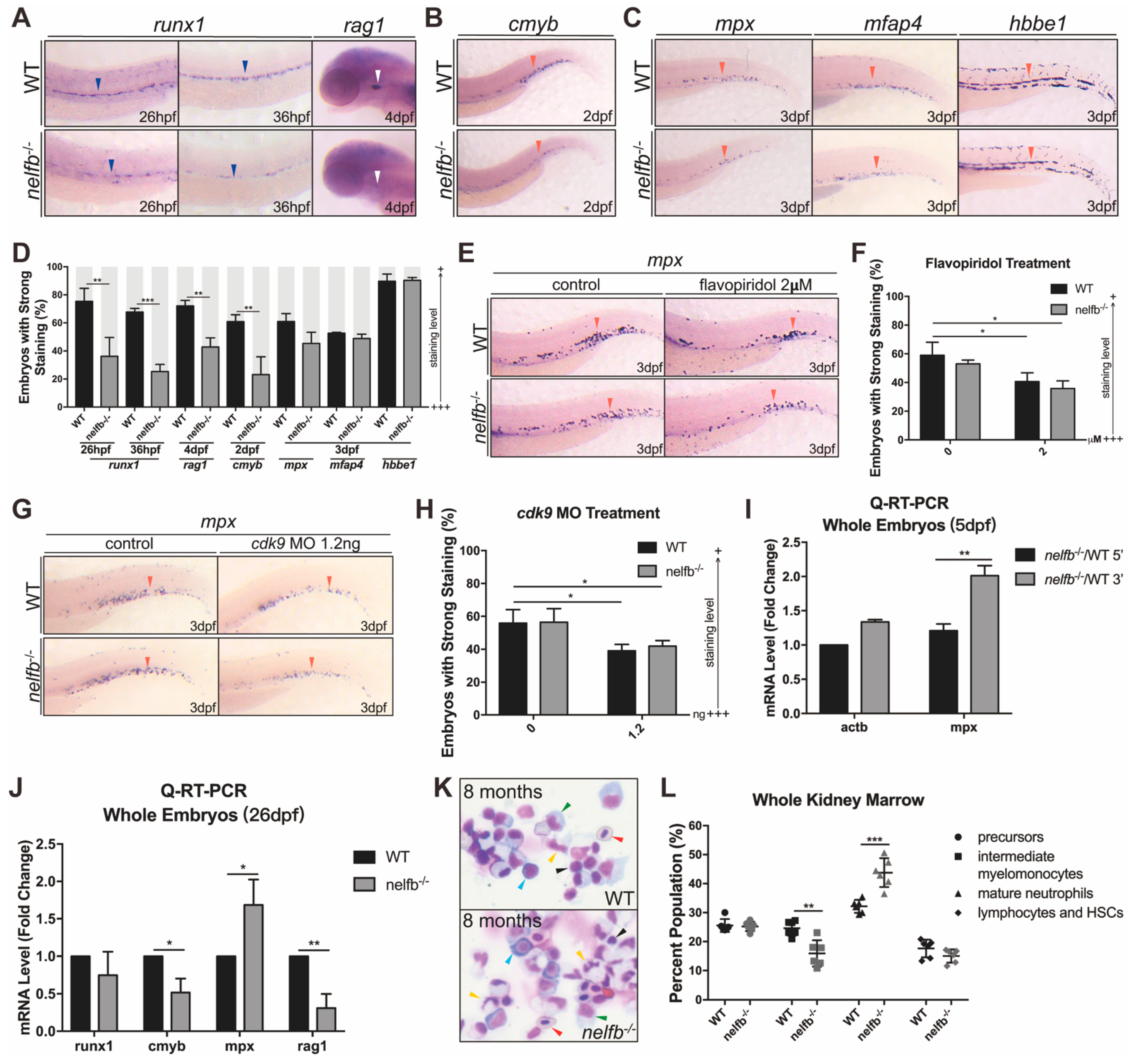Ijms 23 03833 g006 Ijms 23 03833 g006