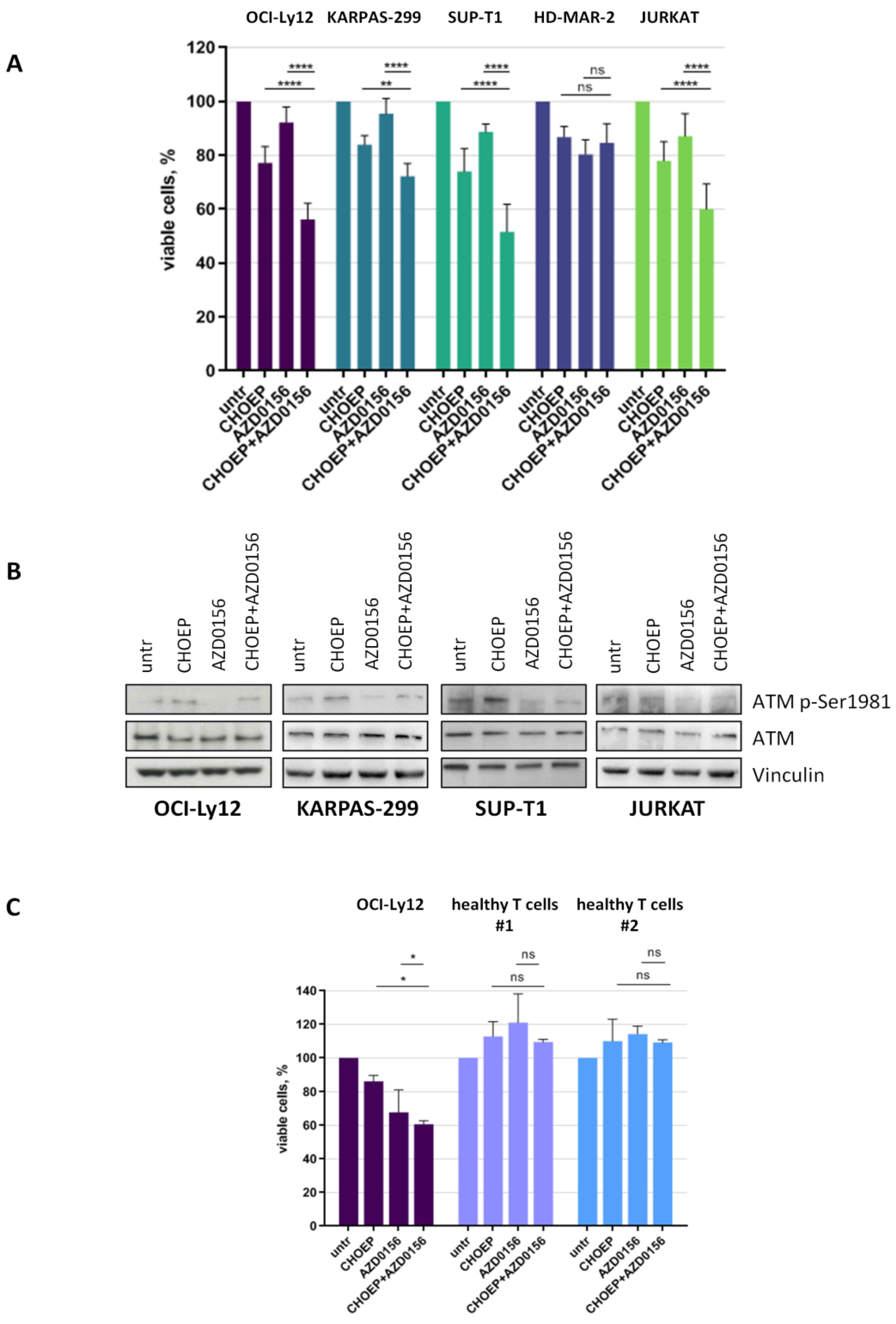 Ijms 23 03834 g003 Ijms 23 03834 g003