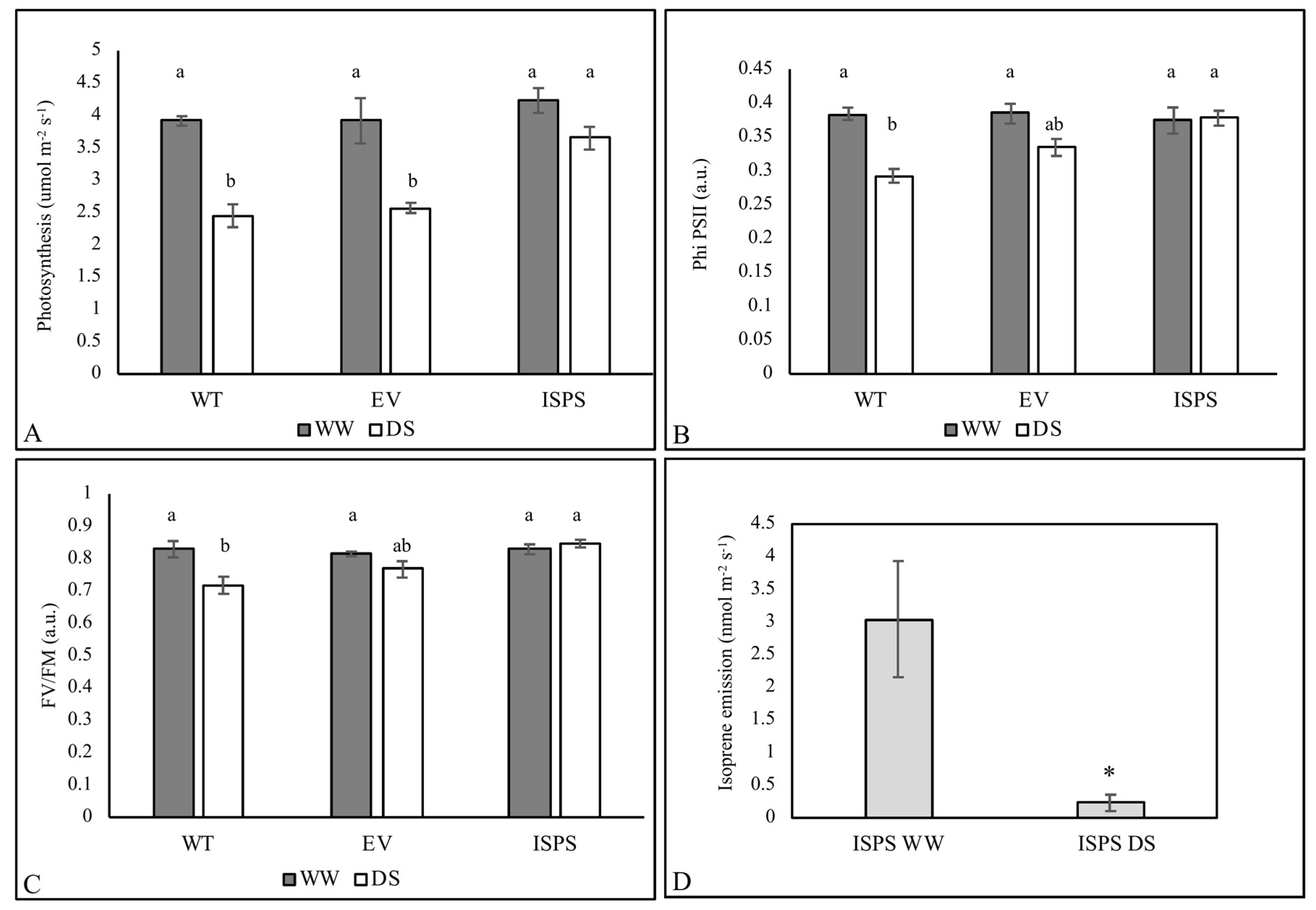 Ijms 23 03836 g001 Ijms 23 03836 g001