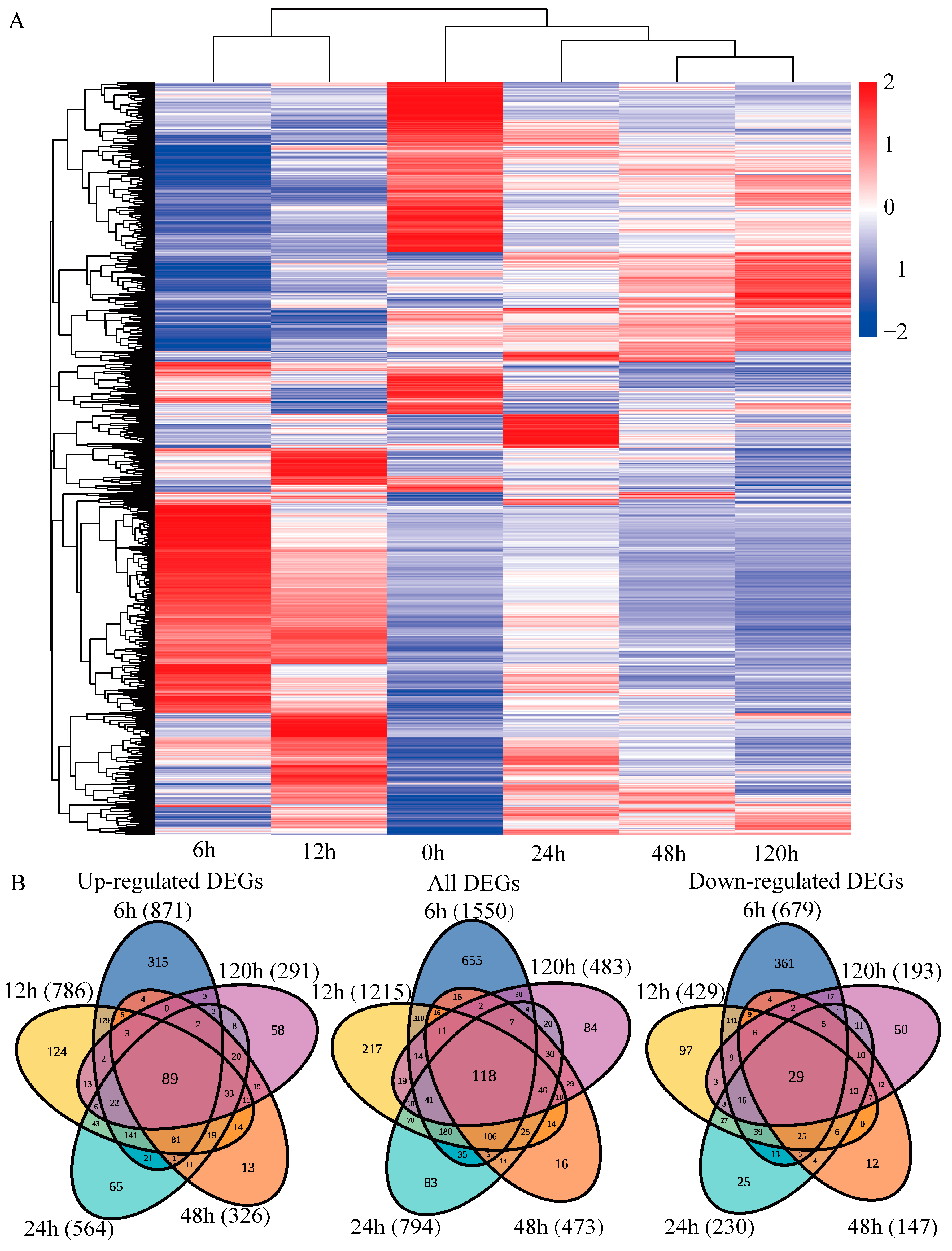 Ijms 23 03840 g003 550