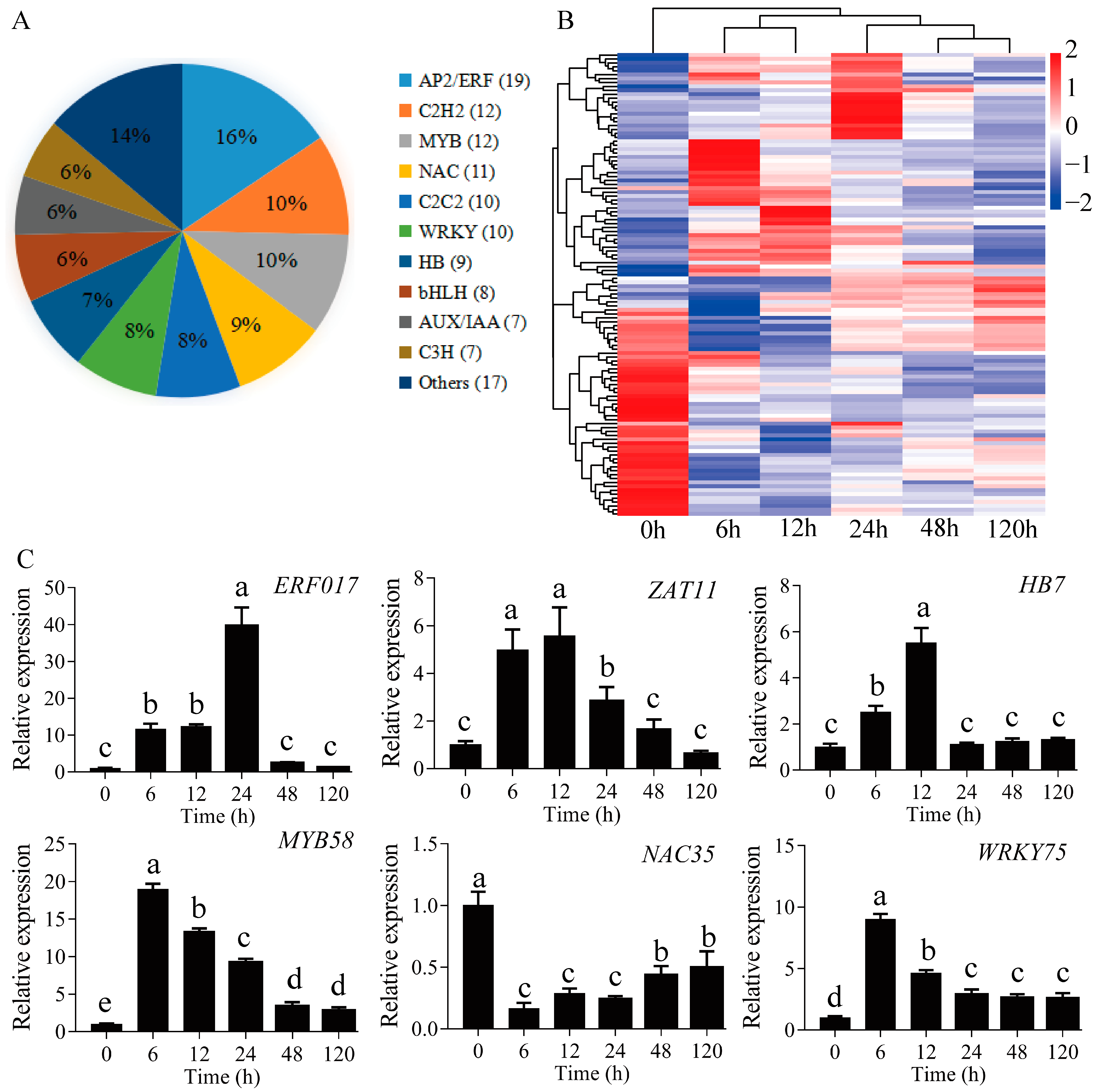 Ijms 23 03840 g005 550