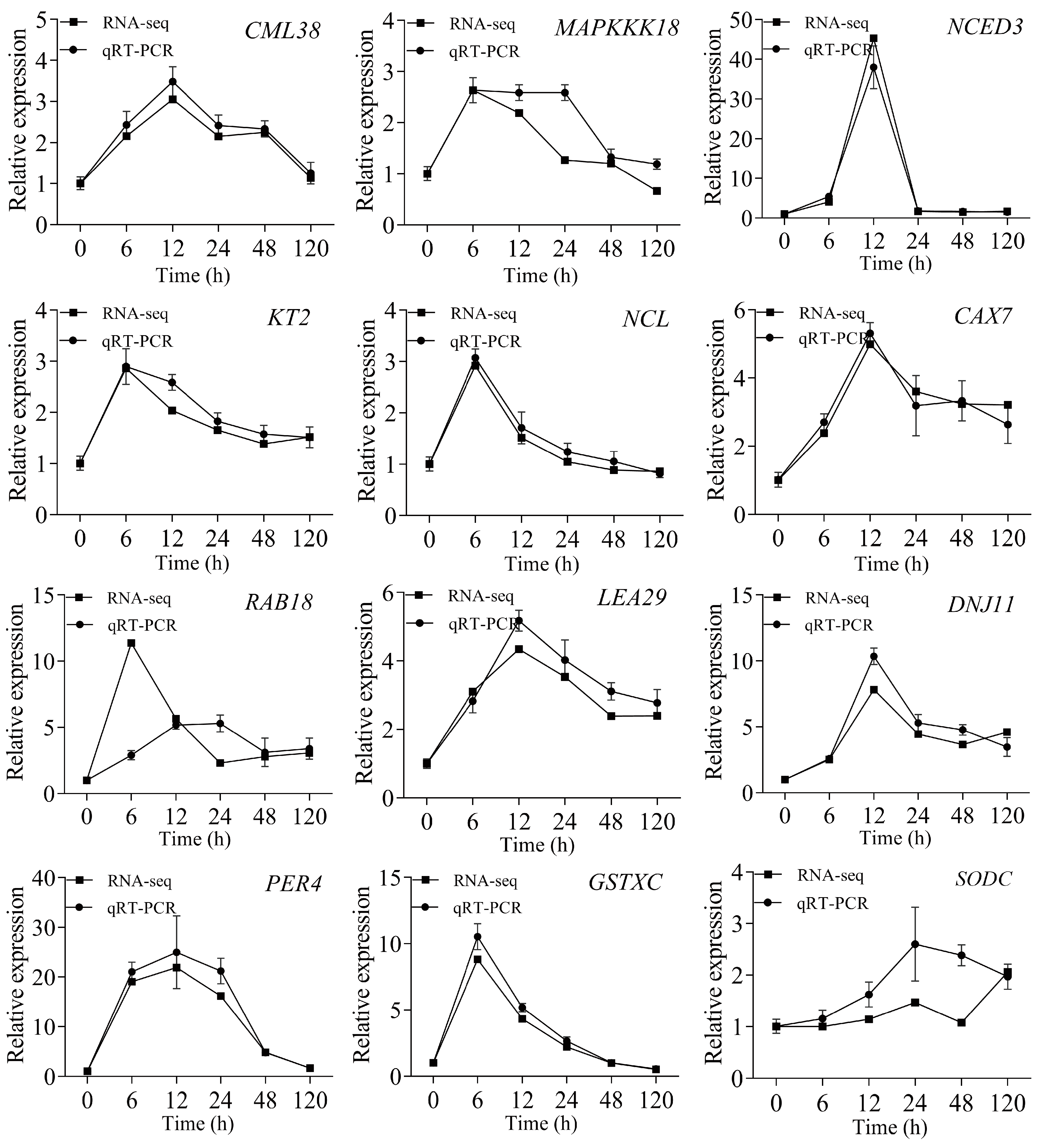 Ijms 23 03840 g006 550
