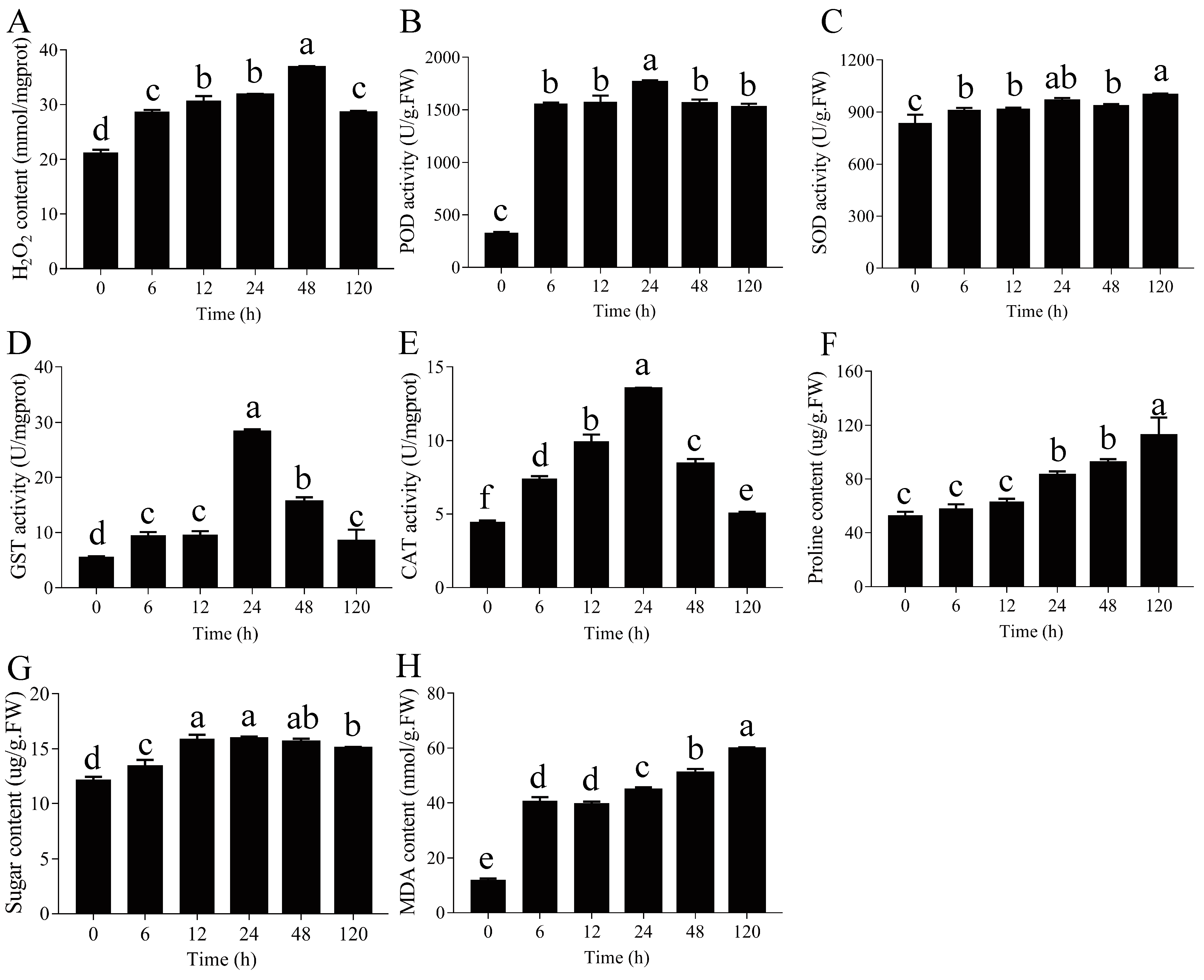Ijms 23 03840 g007 550