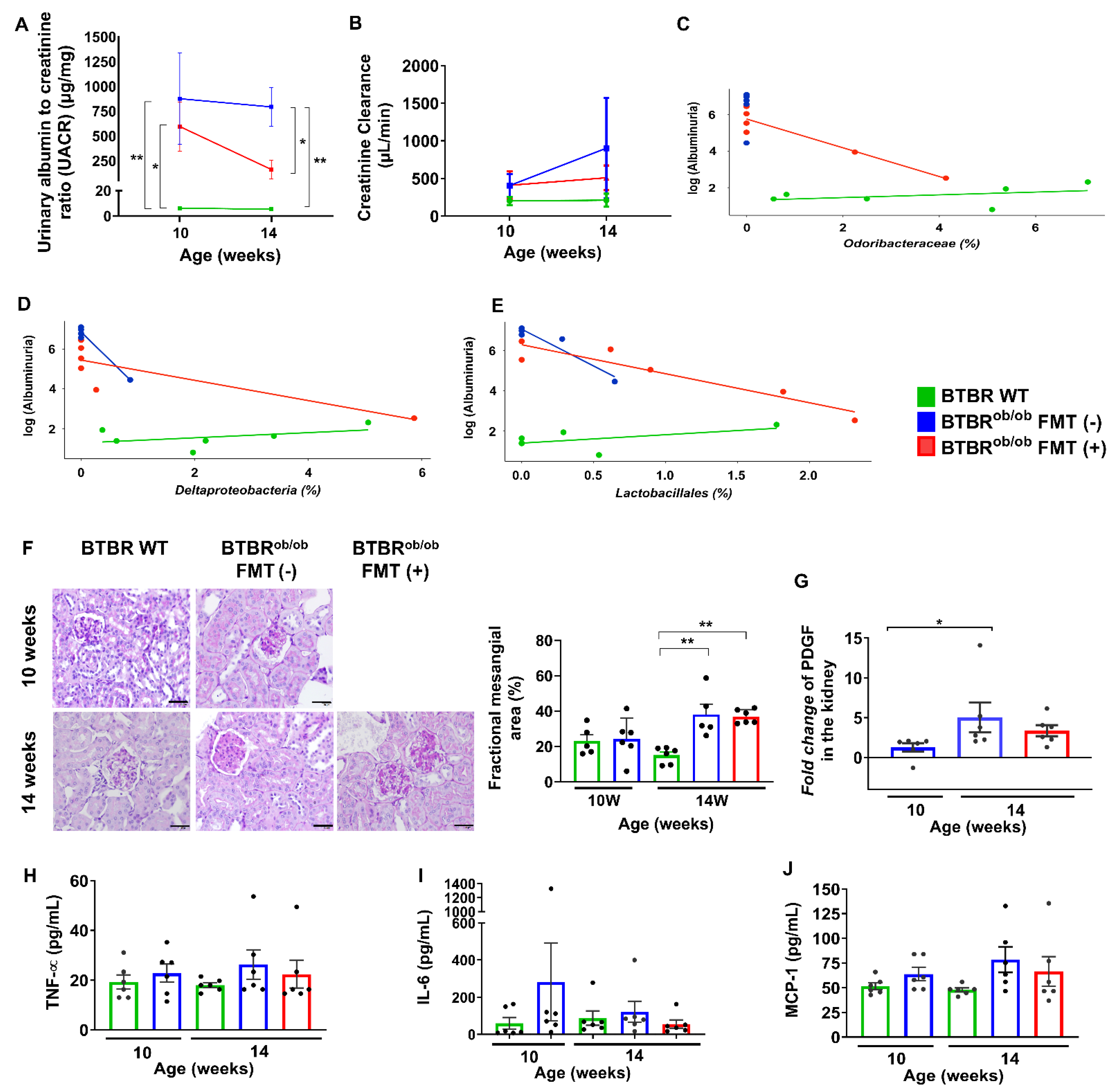 Ijms 23 03842 g004 550