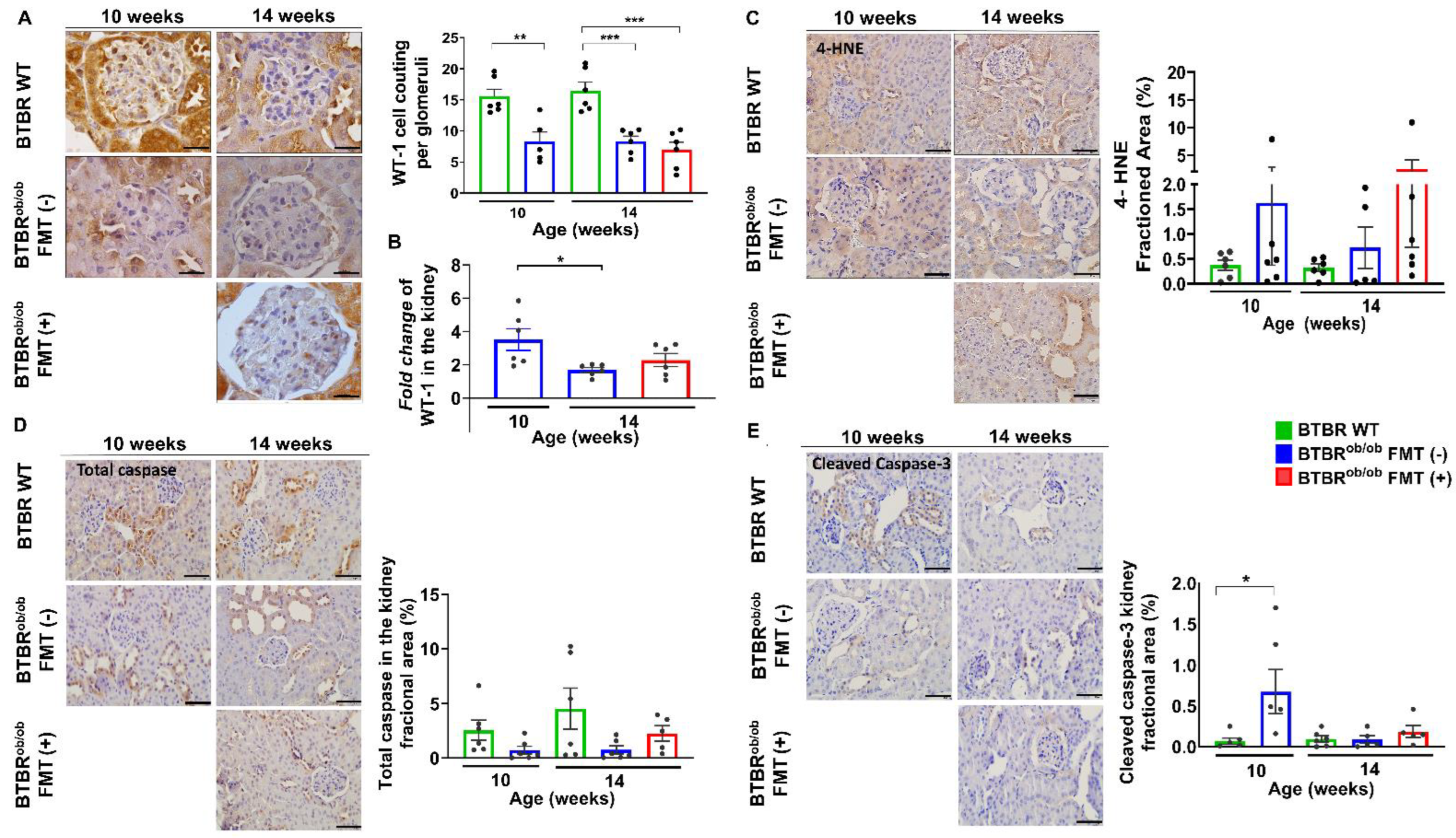 Ijms 23 03842 g005 550