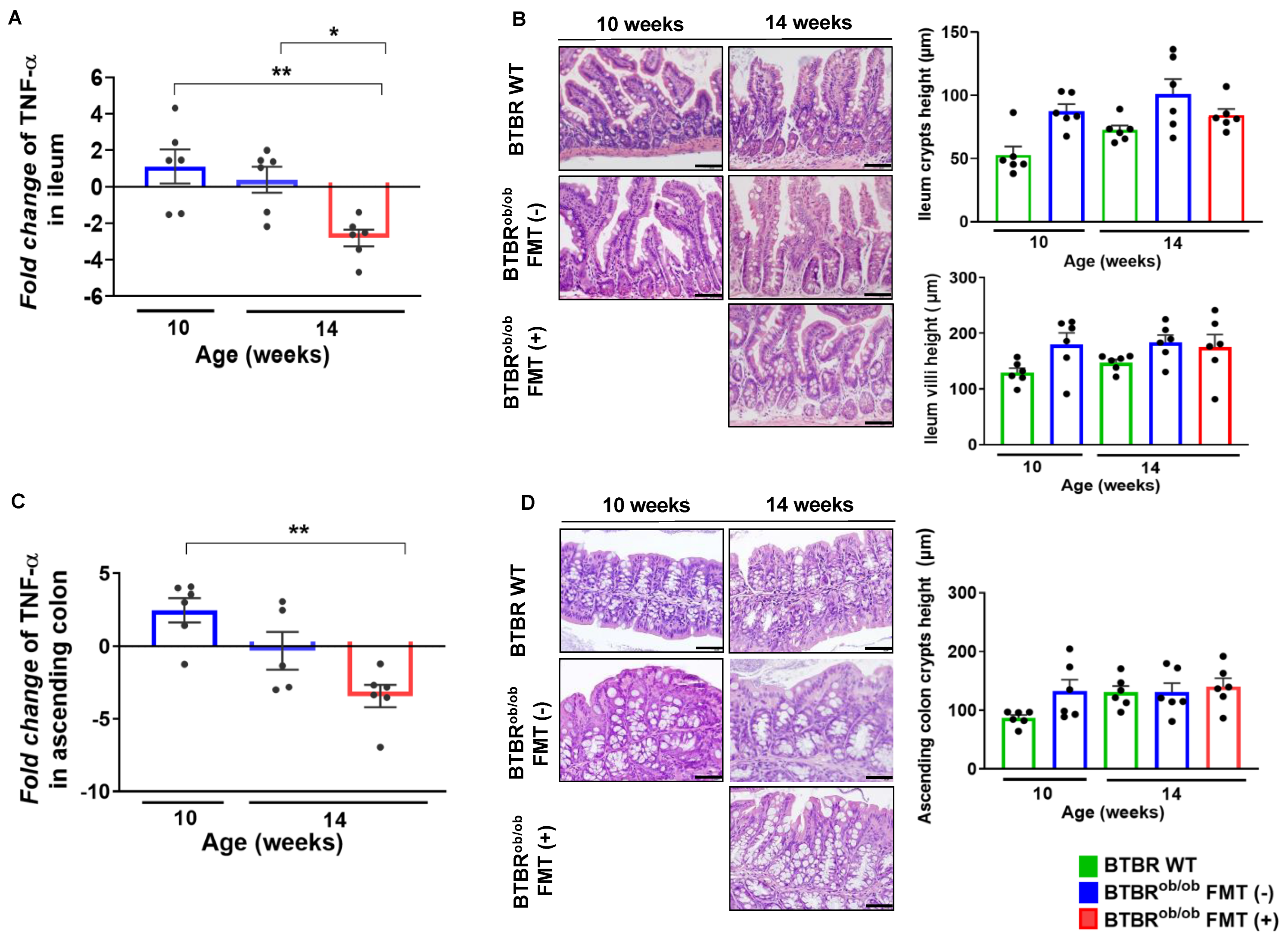 Ijms 23 03842 g006 550