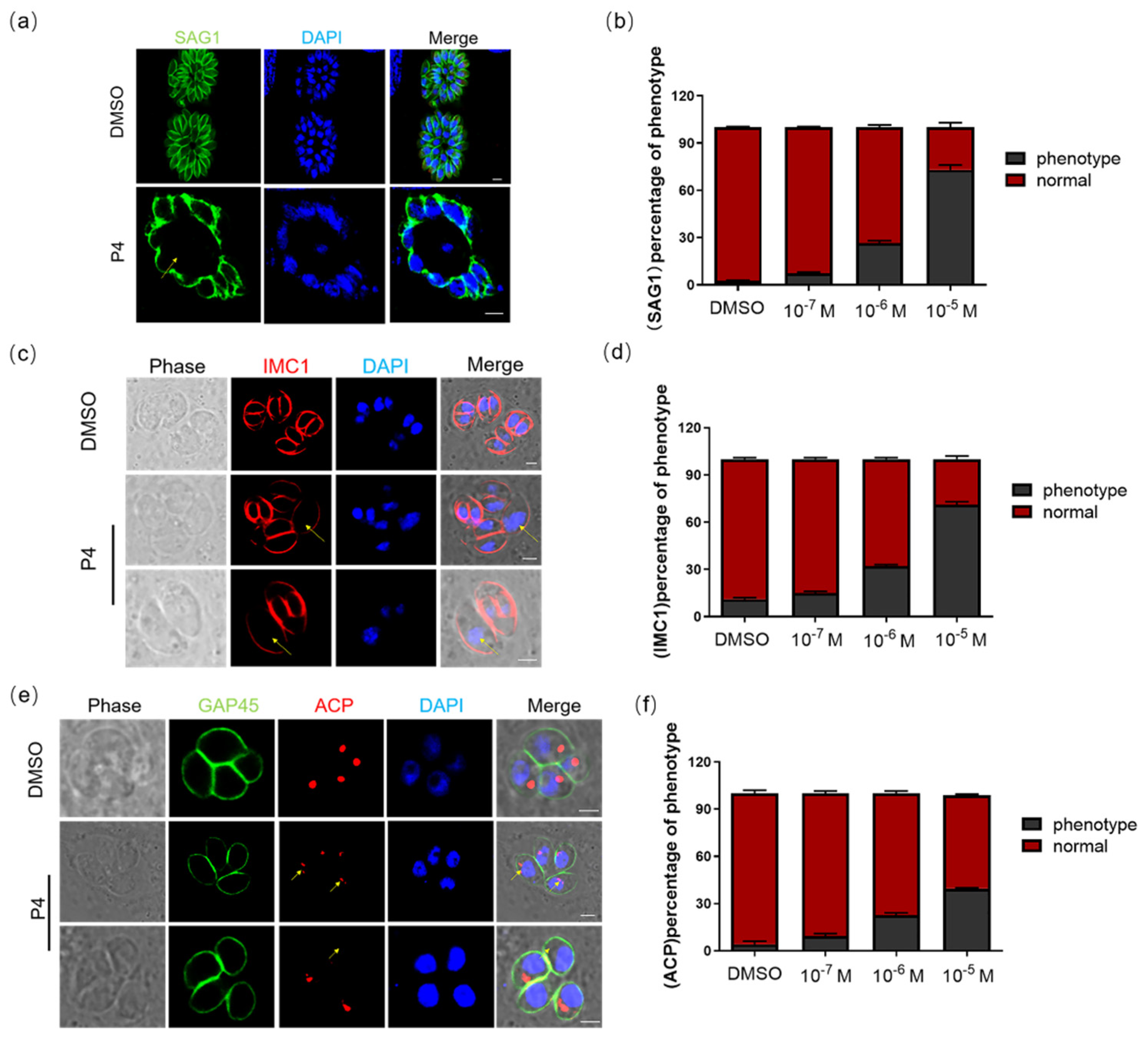 Ijms 23 03843 g002 550