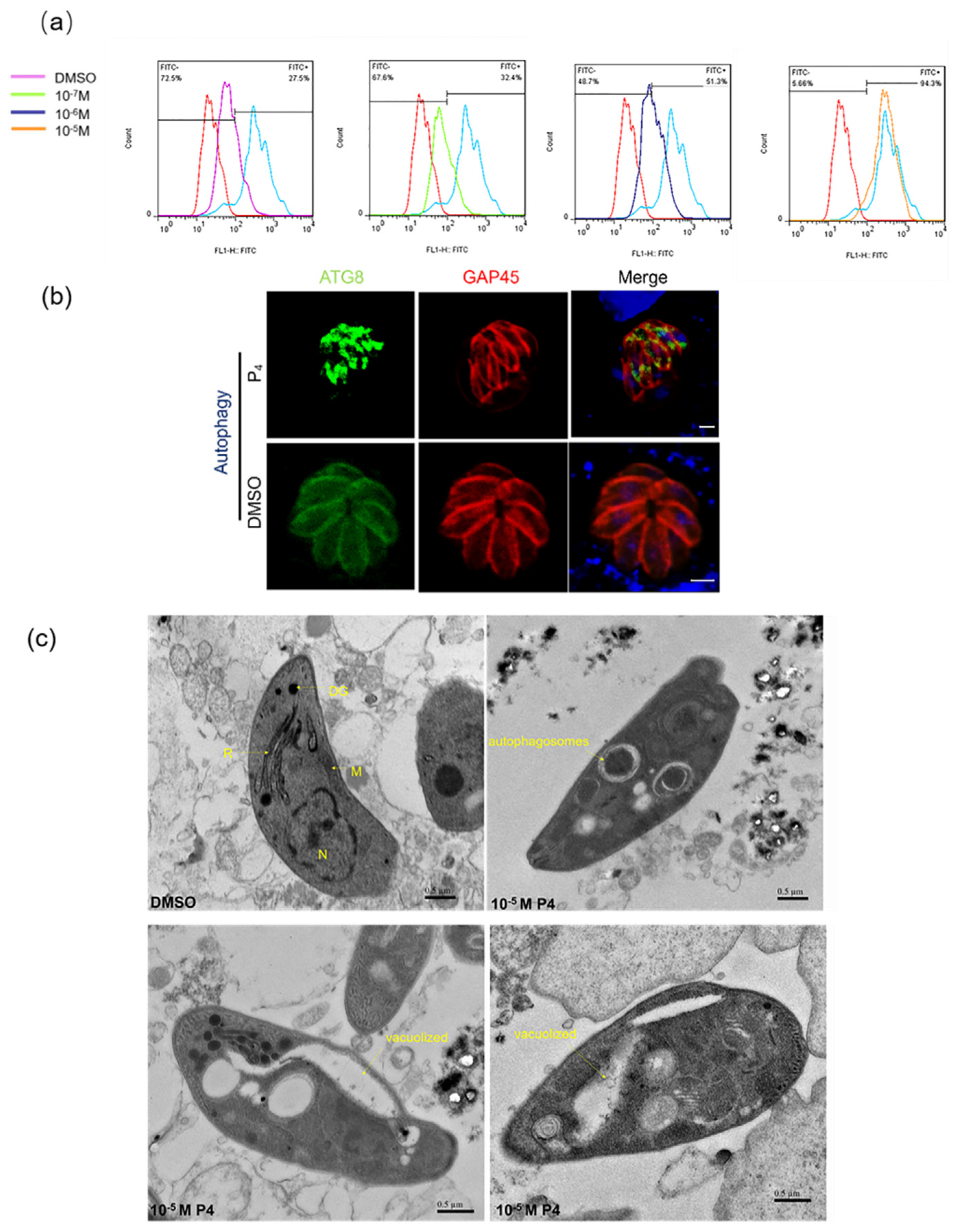 Ijms 23 03843 g003 550
