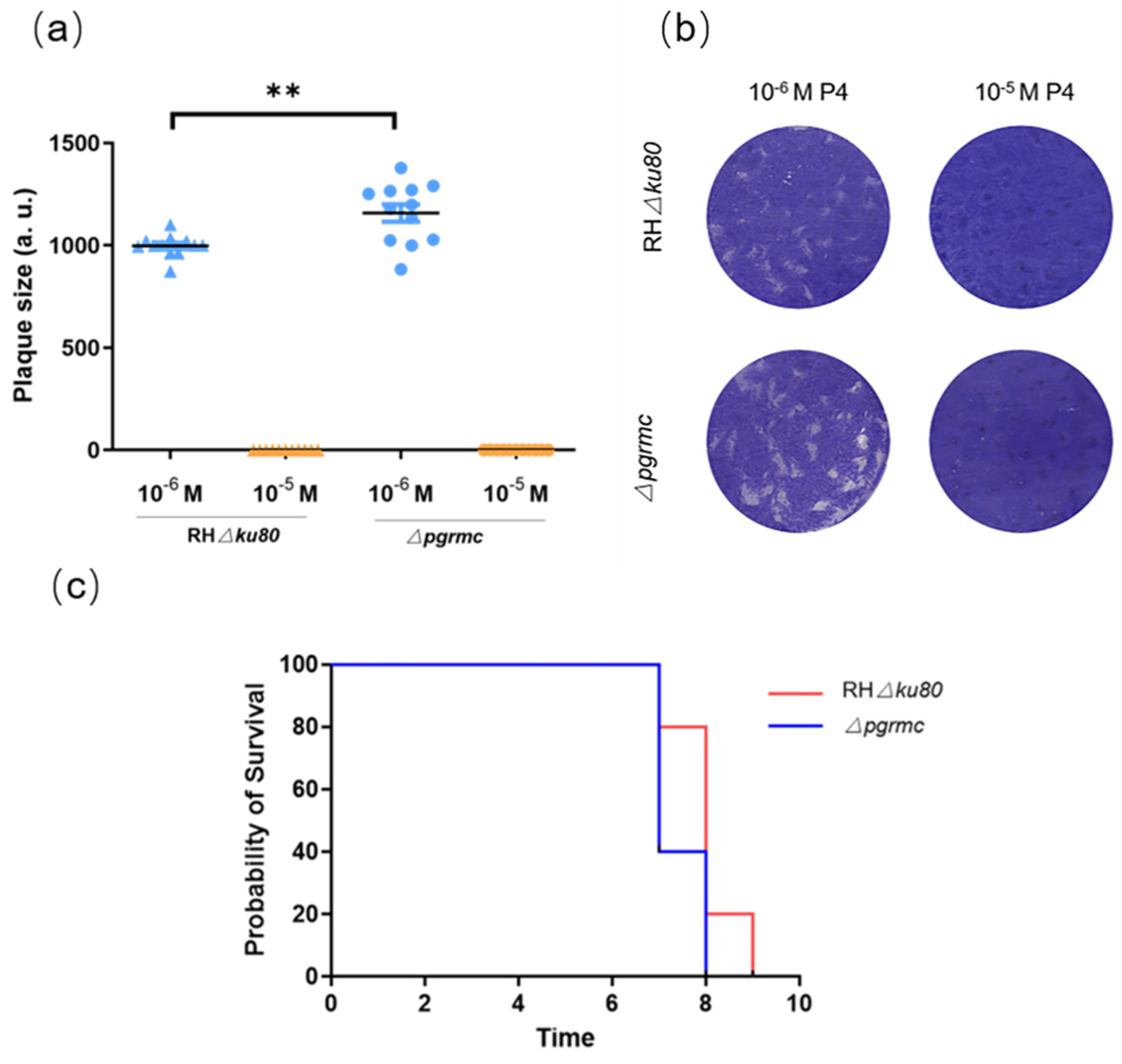 Ijms 23 03843 g006 550