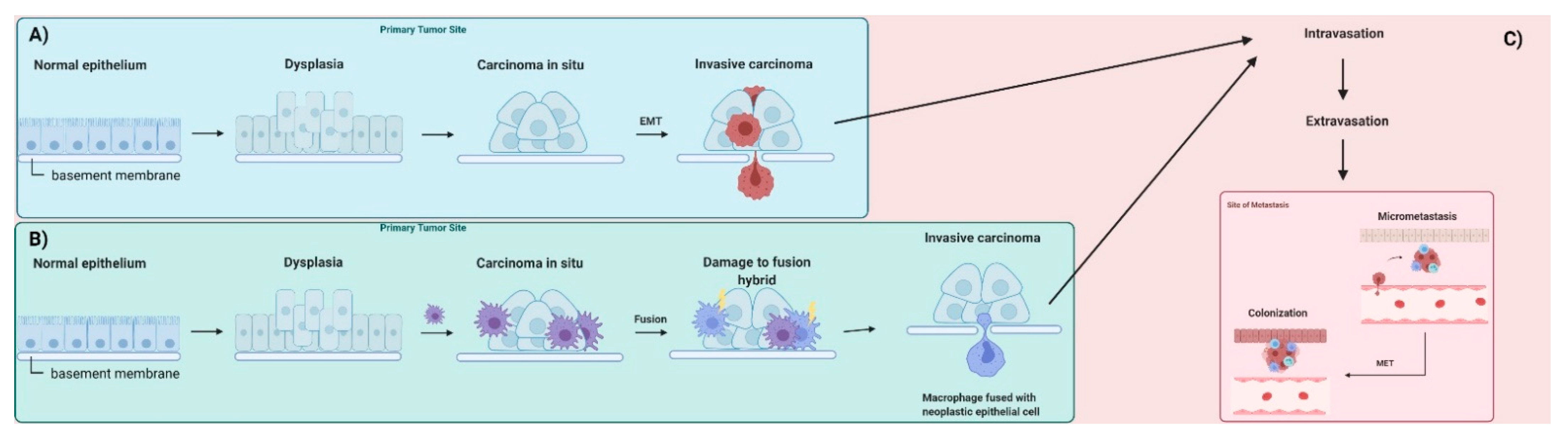Ijms 23 03847 g001 Ijms 23 03847 g001