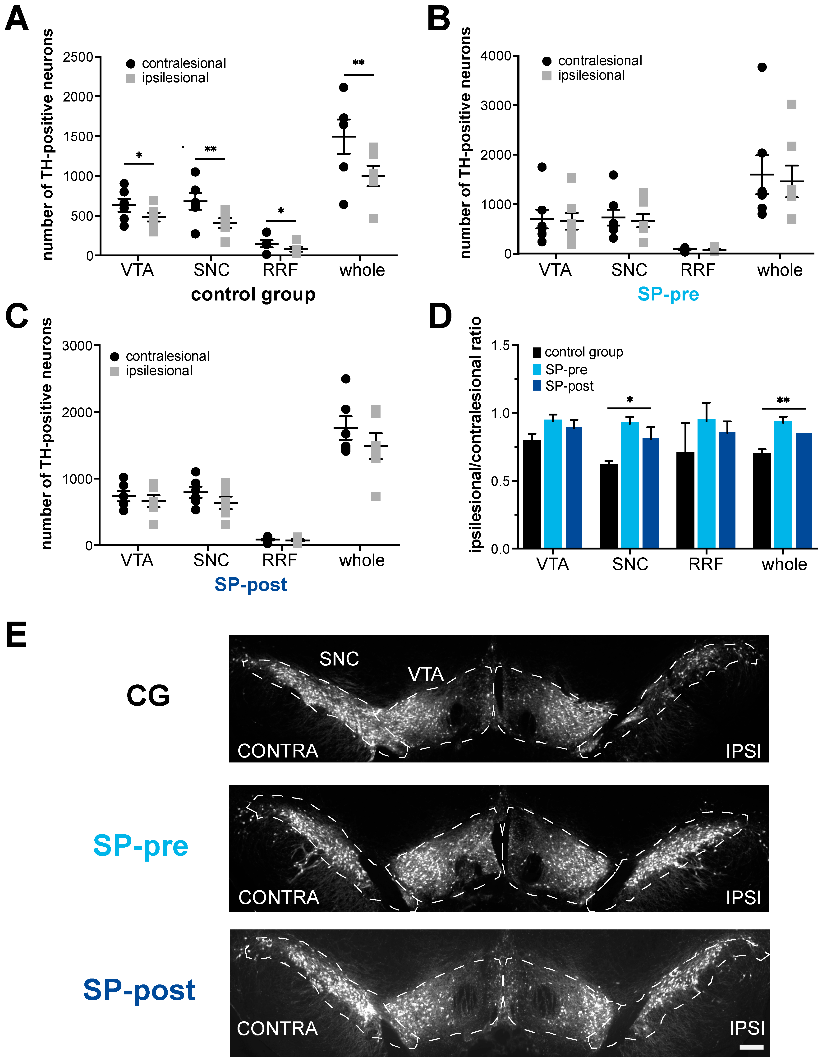 Ijms 23 03848 g003 Ijms 23 03848 g003