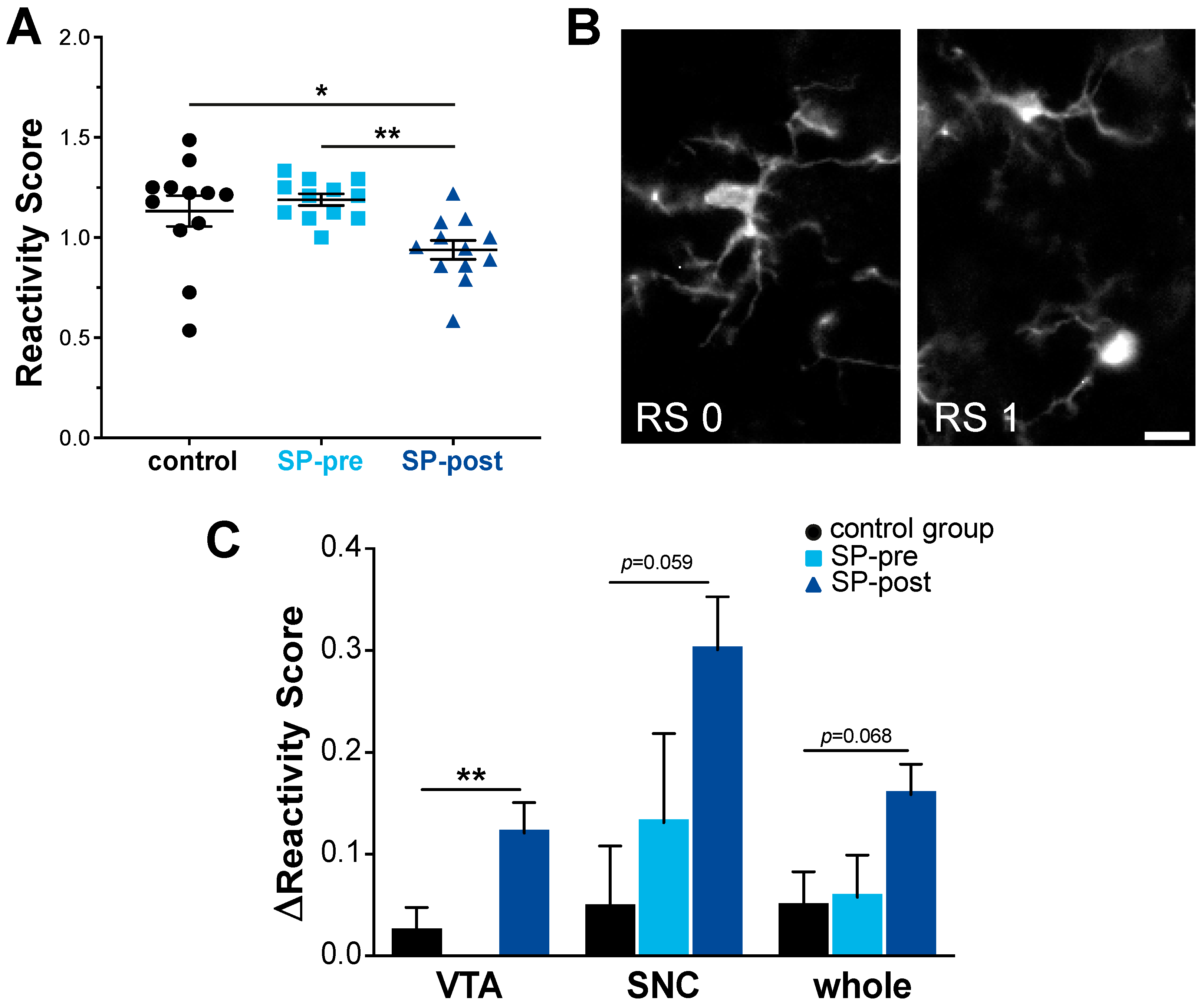 Ijms 23 03848 g004 Ijms 23 03848 g004