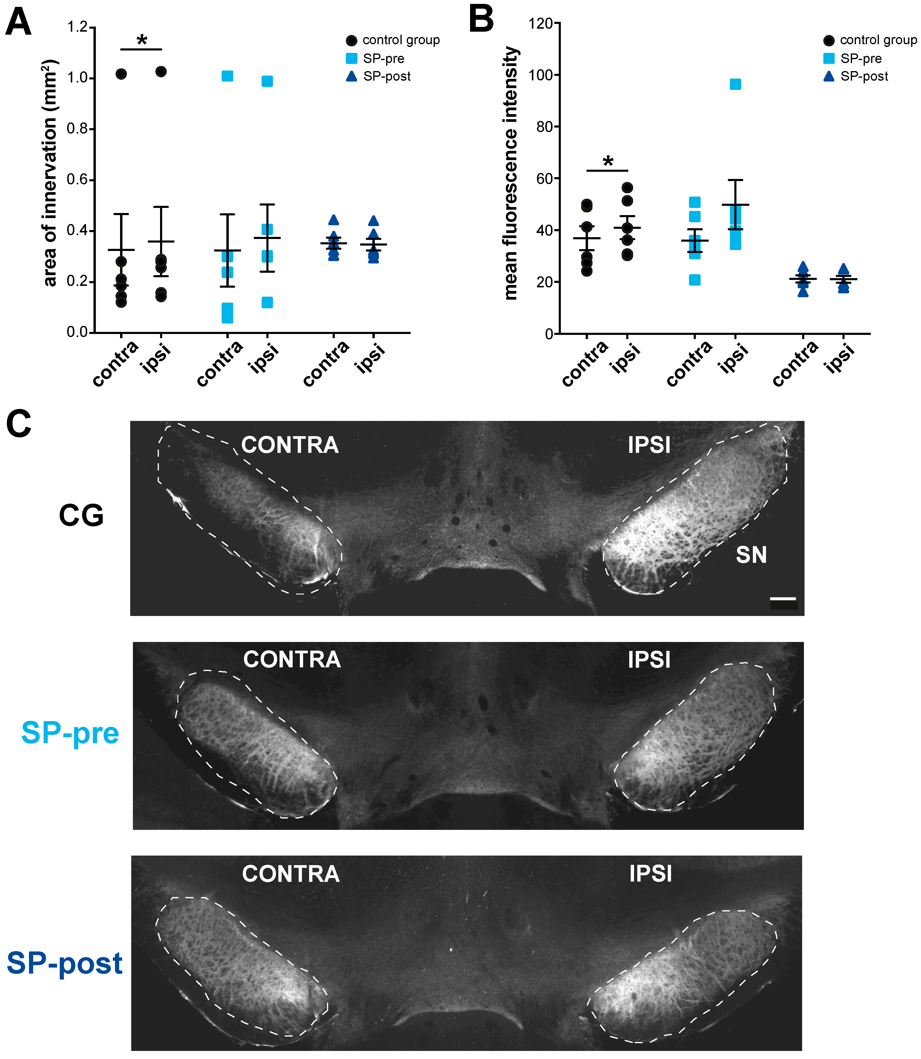 Ijms 23 03848 g005 Ijms 23 03848 g005