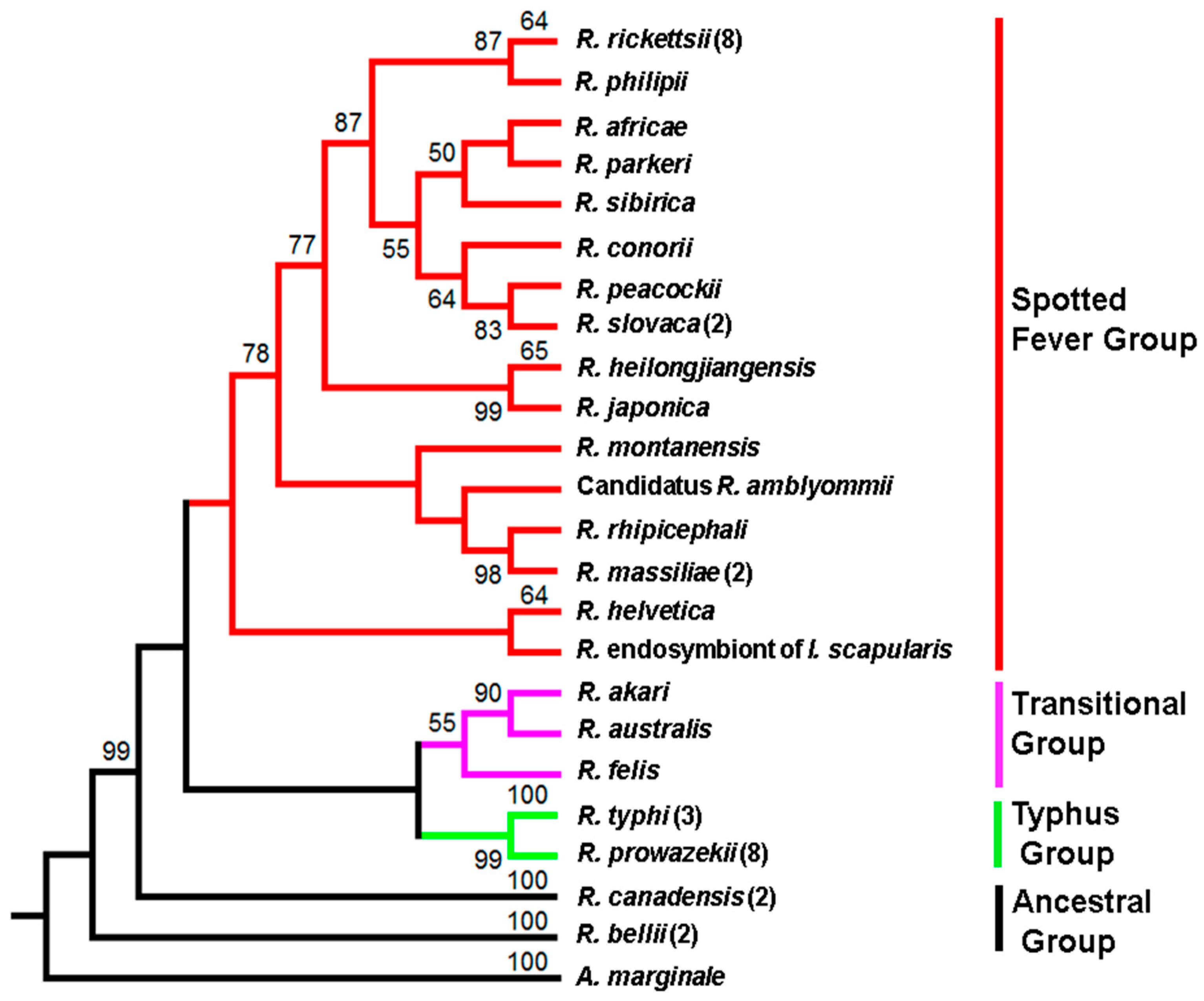 Ijms 23 03853 g001 550