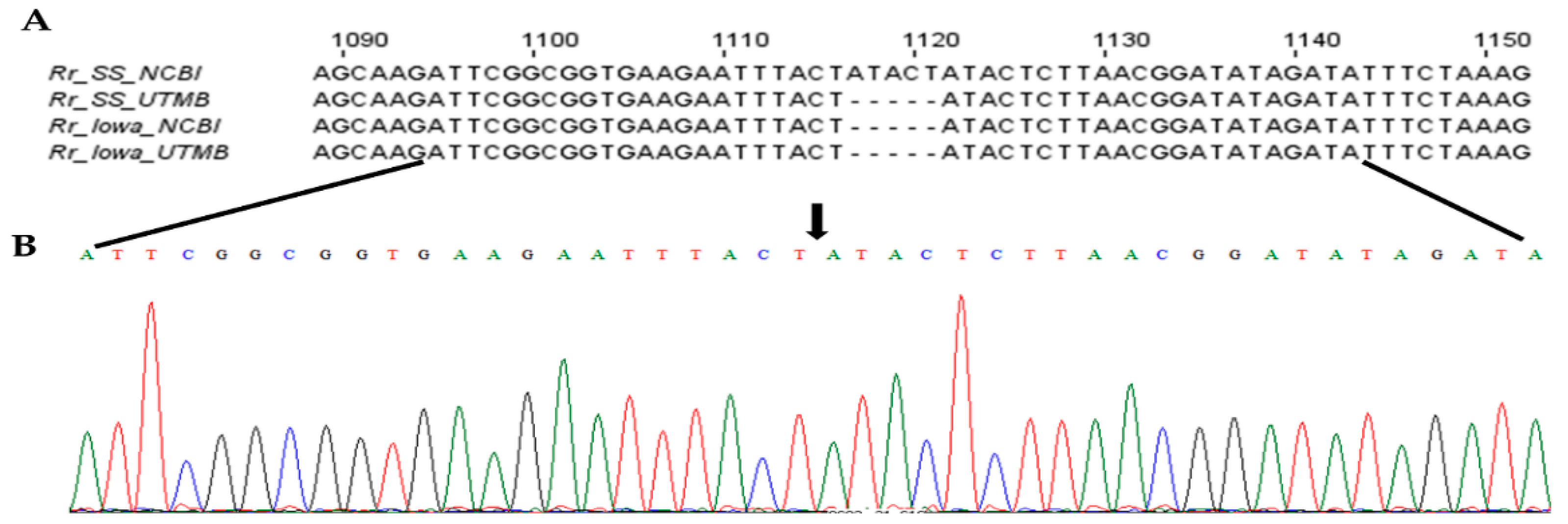 Ijms 23 03853 g003 550