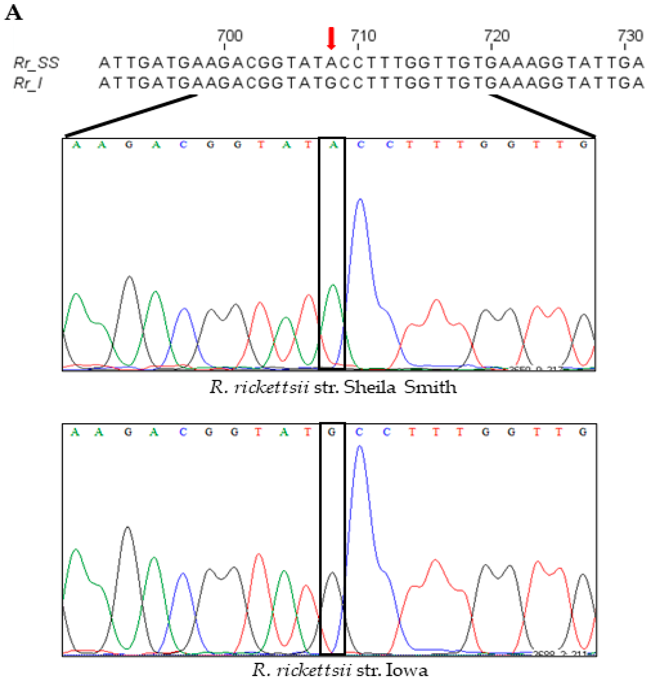 Ijms 23 03853 g004a 550