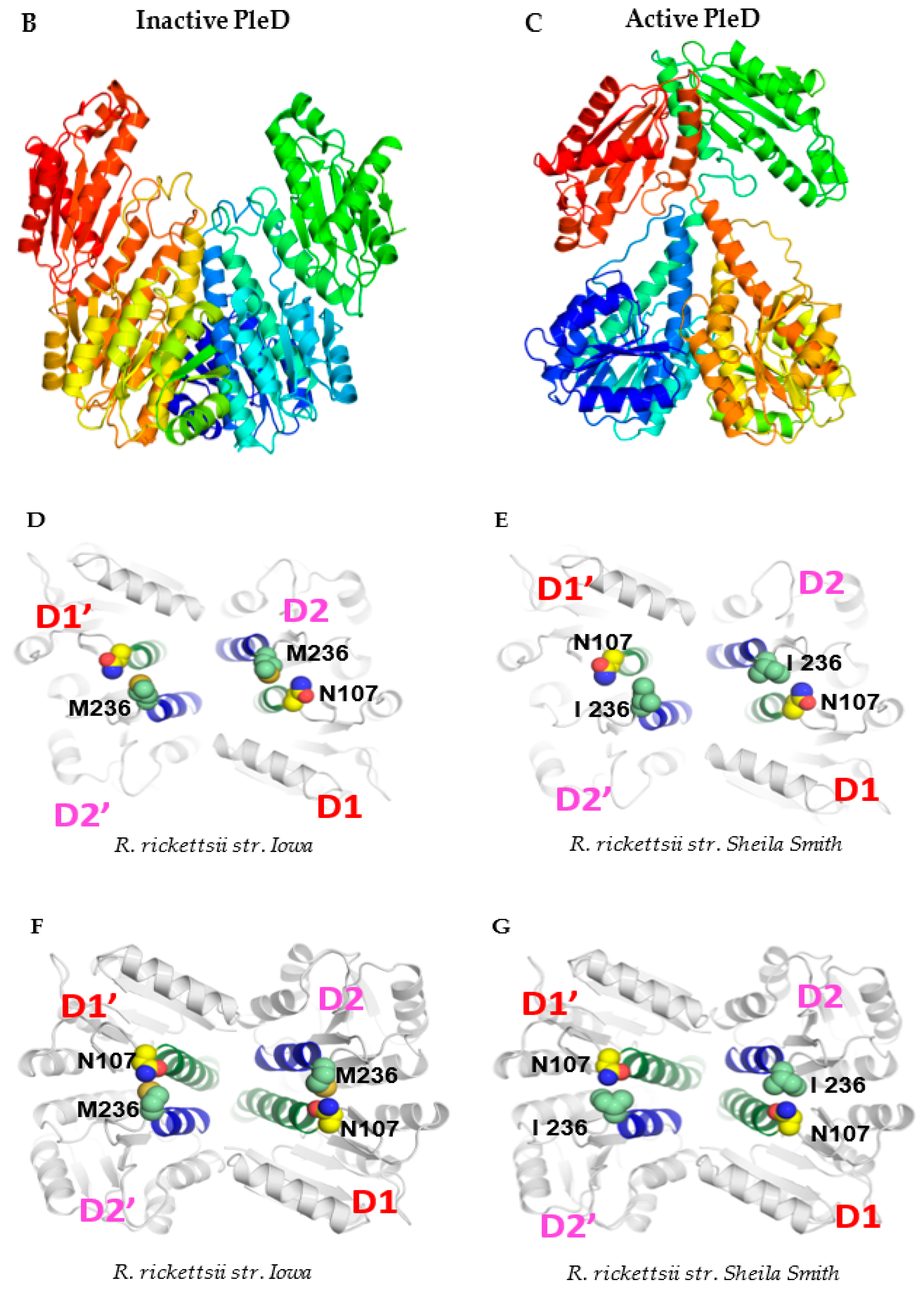 Ijms 23 03853 g004b 550